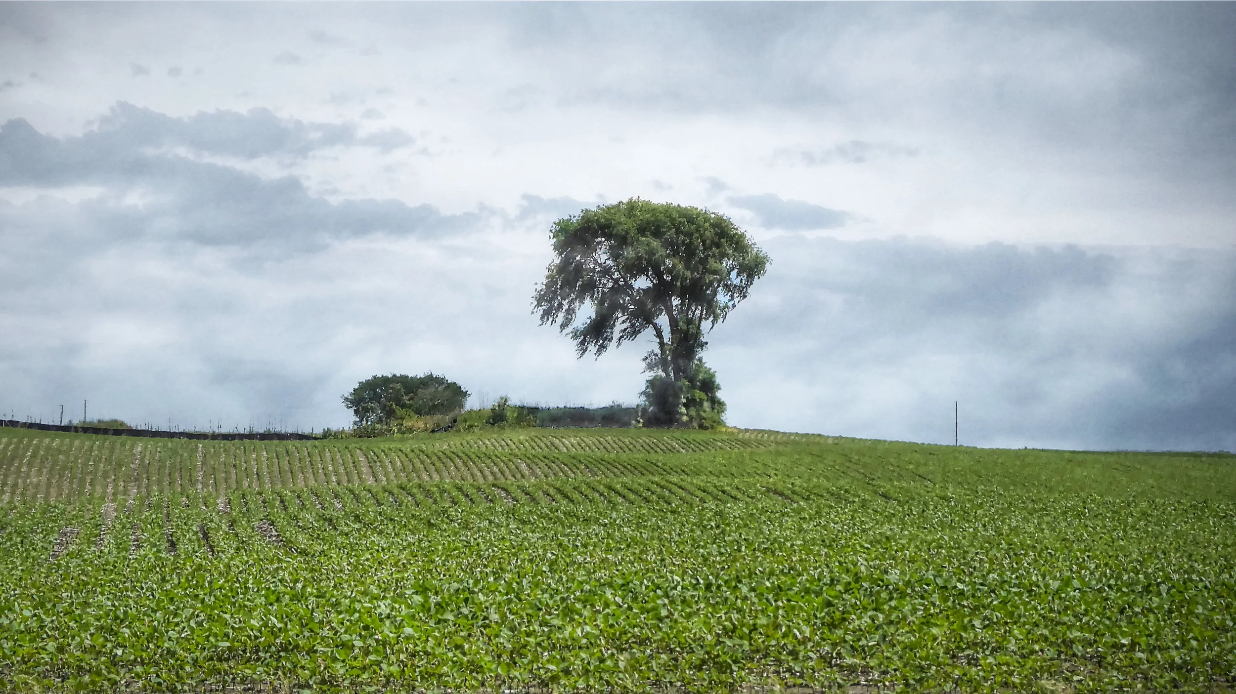 Rural Horizon