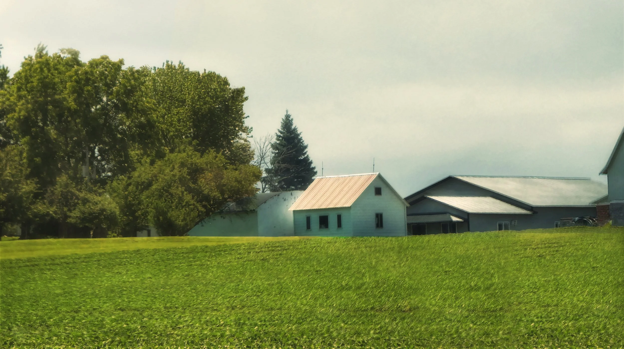 Farm in Summer