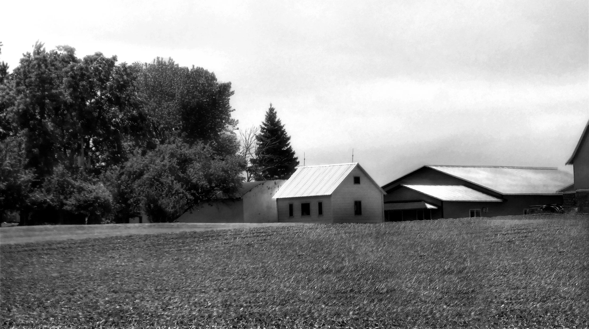 Farm in Summer B&W