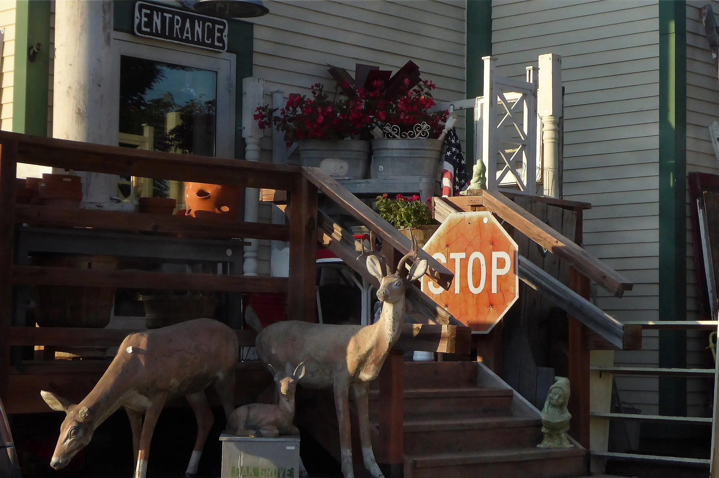 Odds 'n Ends Shop