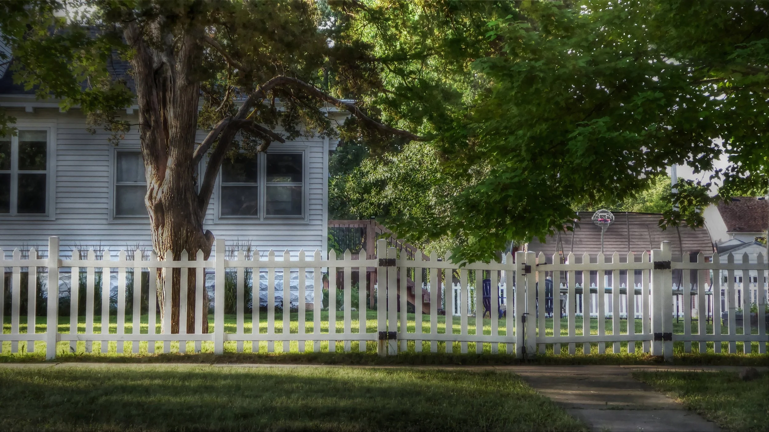 Neighborhood Morning