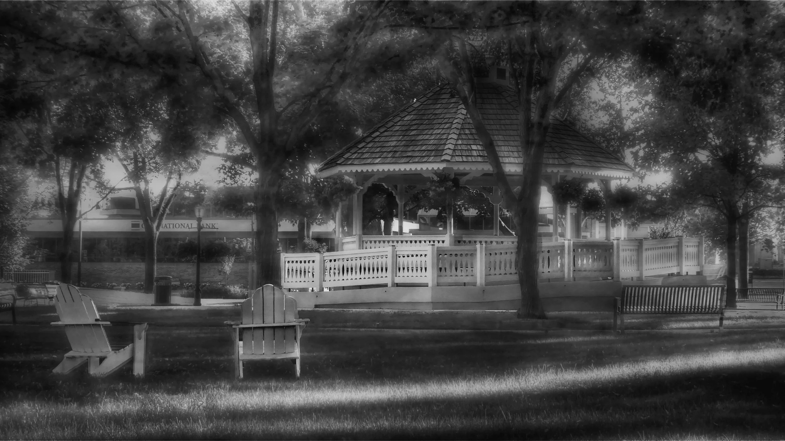 Evening in the Park