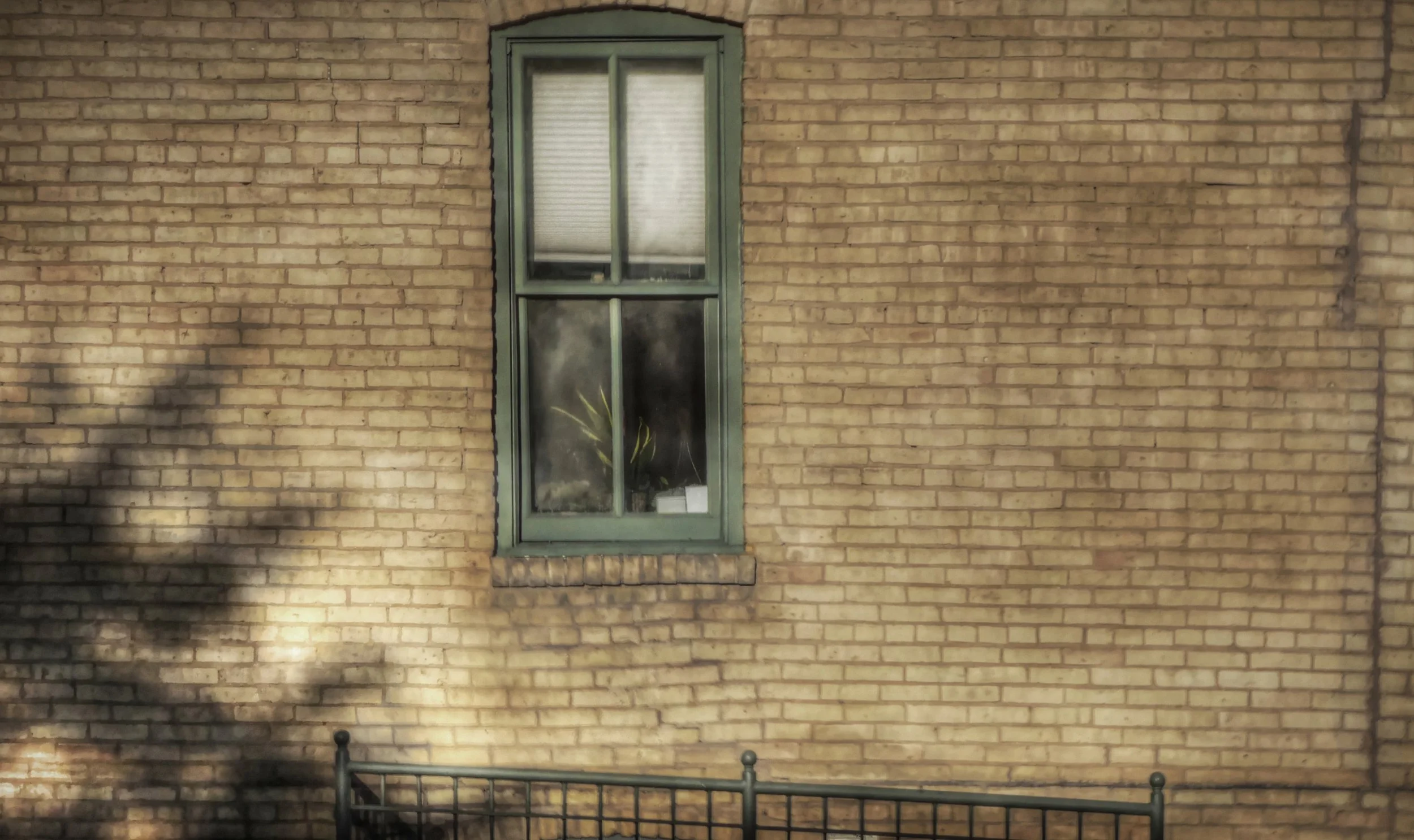 Window
