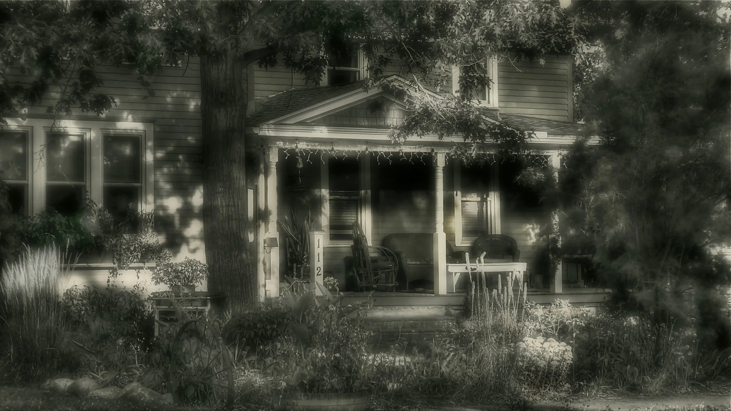 Evening Shadows 