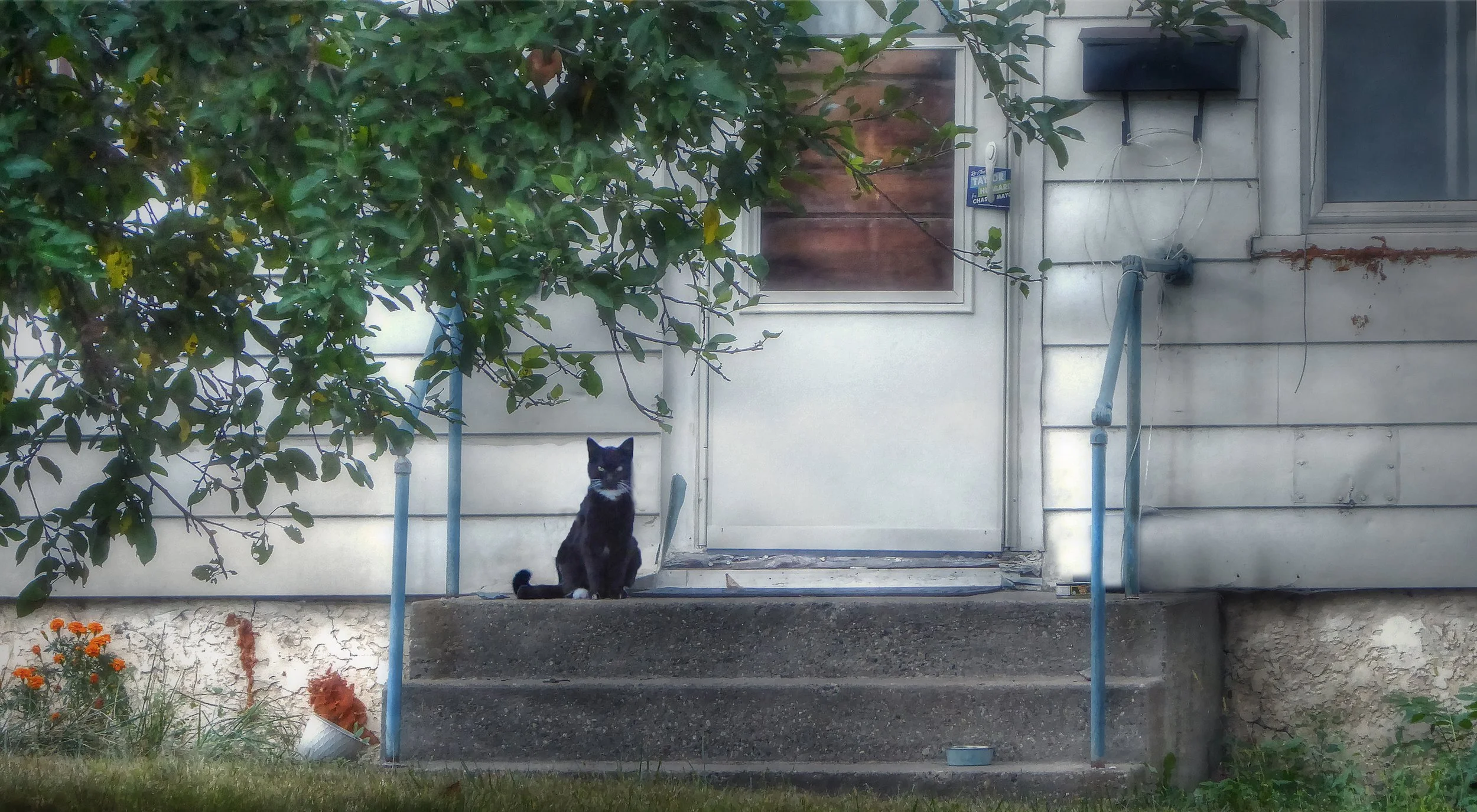 Sentinel