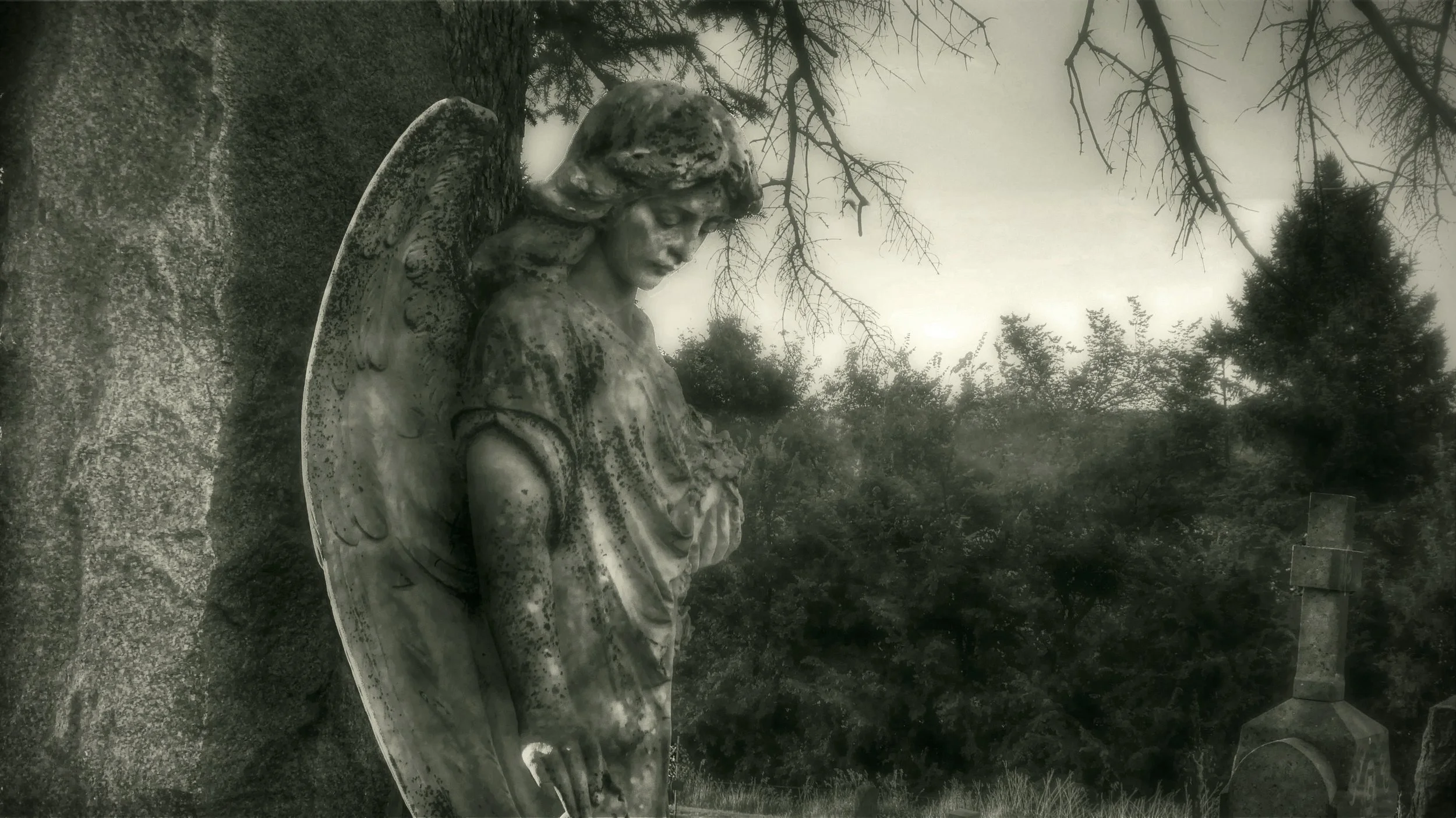 Cemetery Angel-Black & White