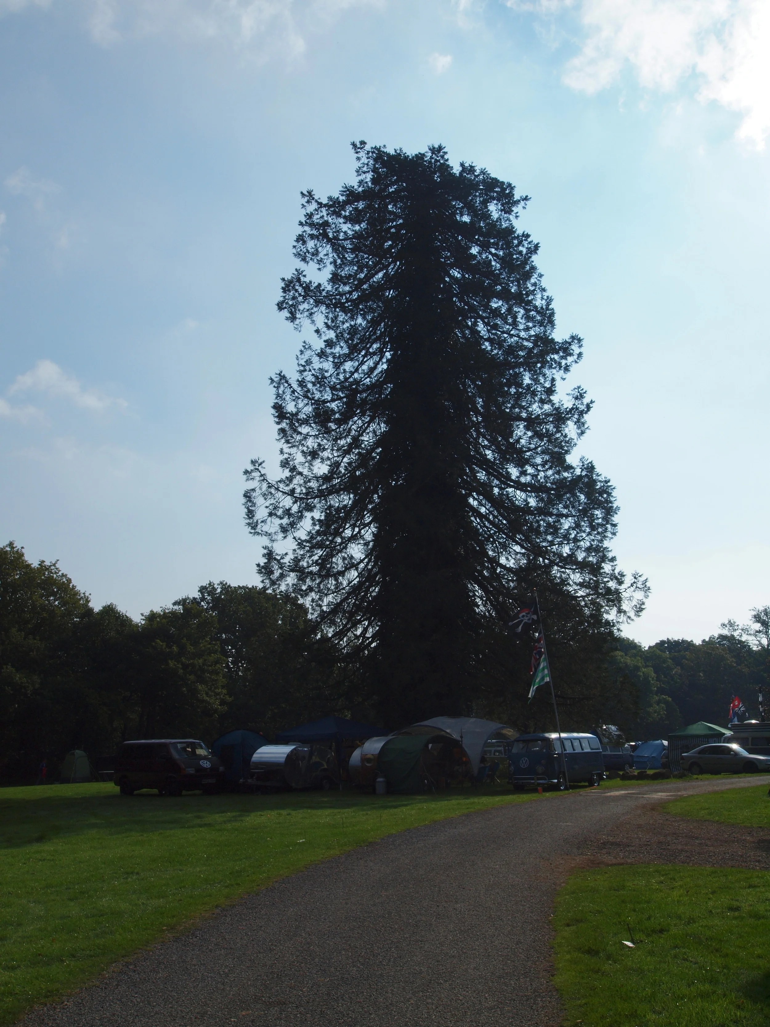 PA039578.JPG