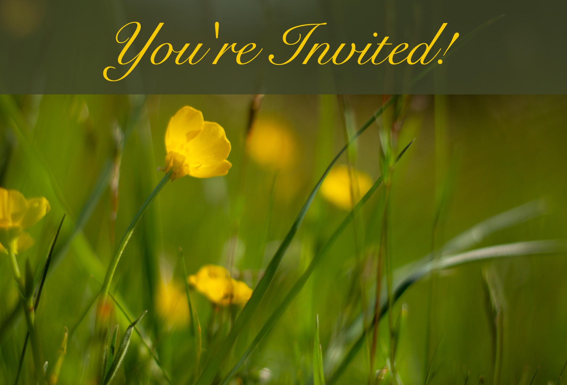 You're invited - 1920px.jpg