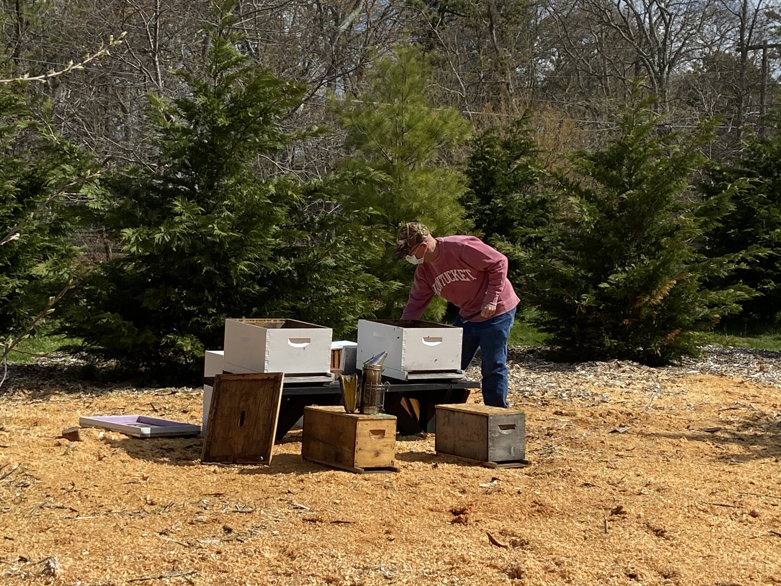 Chris Kelly beehive installation at GGHG - 4-28-20 3.jpeg