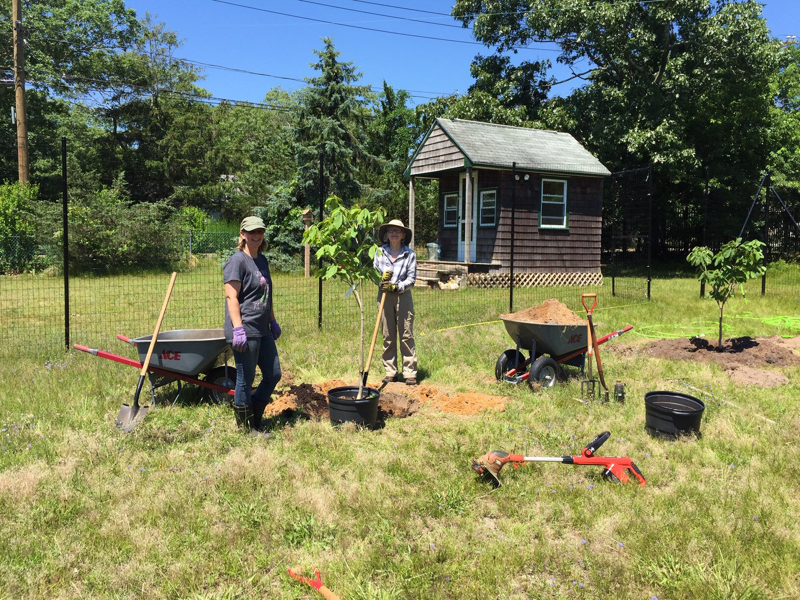 GGHG - Jul 1, 2019 - Paw Paw tree planting 1.jpg