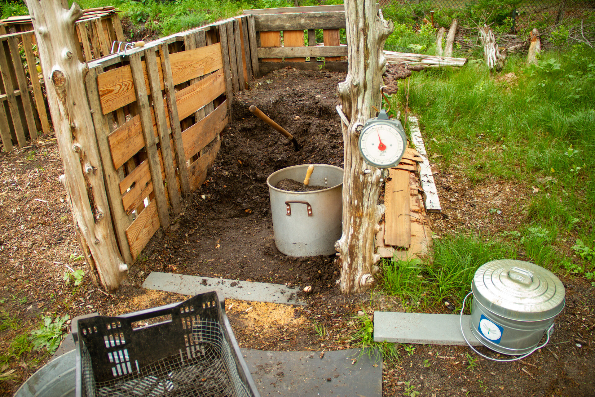 Community Composting Program June 4 2020 - IMG_1545.jpg