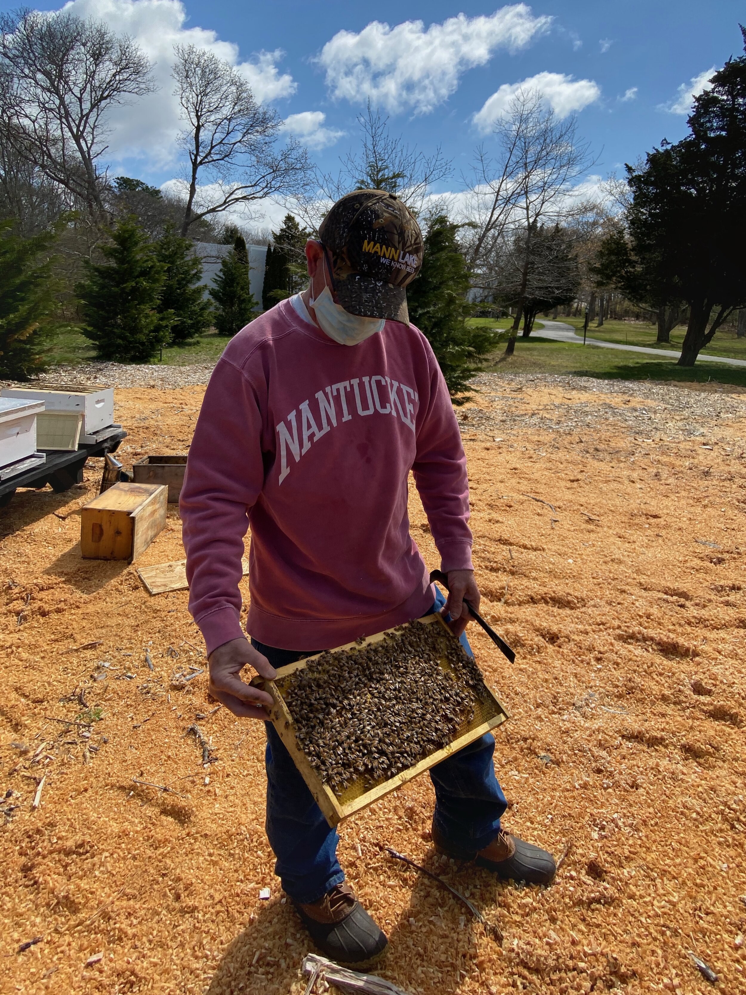 Chris Kelly beehive installation at GGHG - 4-28-20 1.jpeg