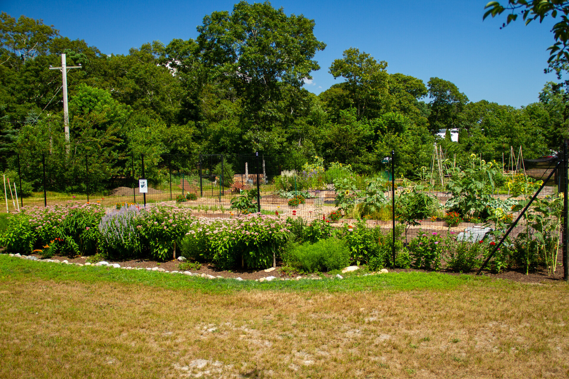 Good Ground Heritage Garden - Aug 1, 2020 - 1920px-1.jpg