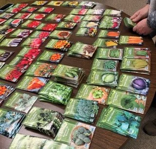 Seed Sorting Party