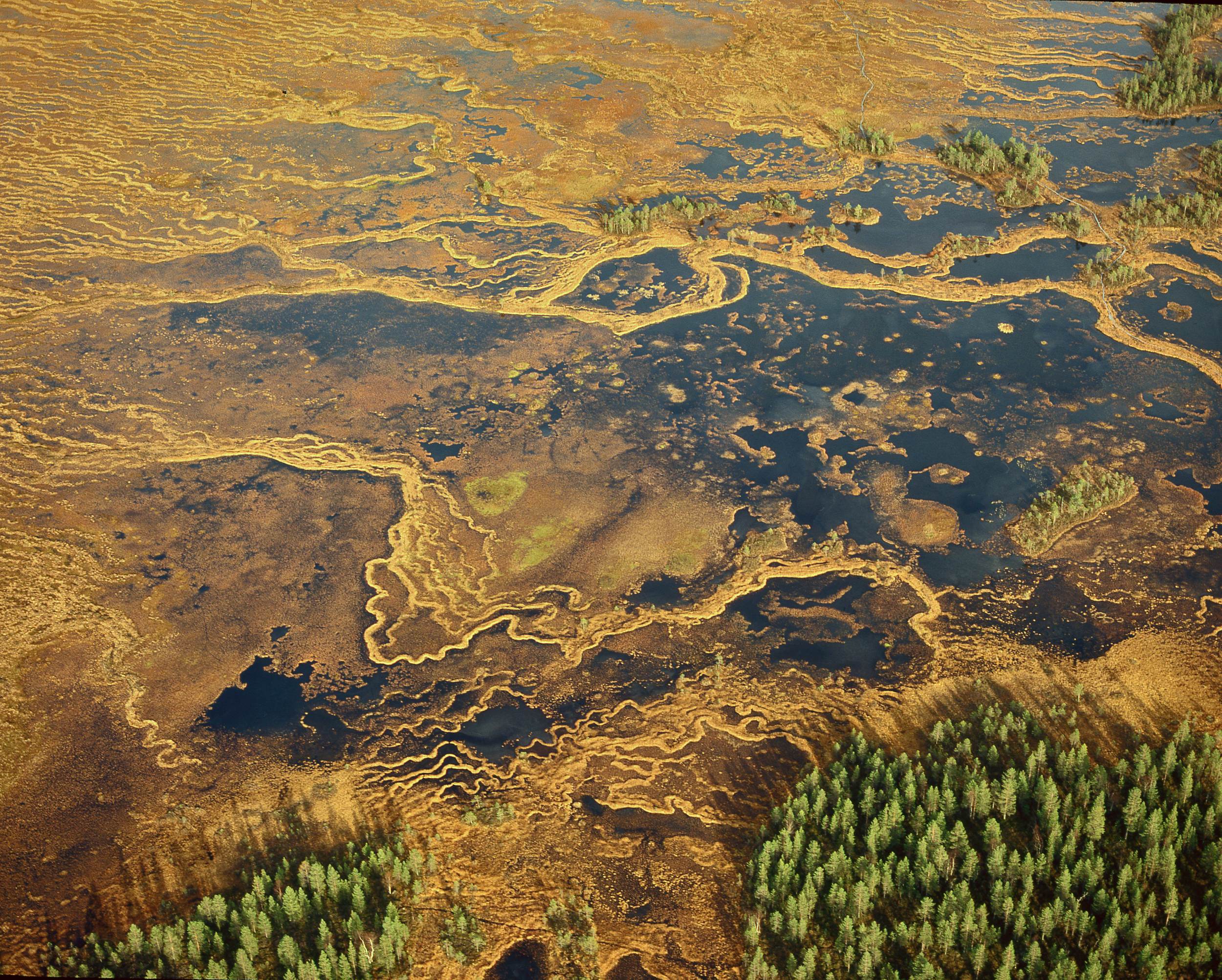 ilmakuva-ranuan-seutu.png