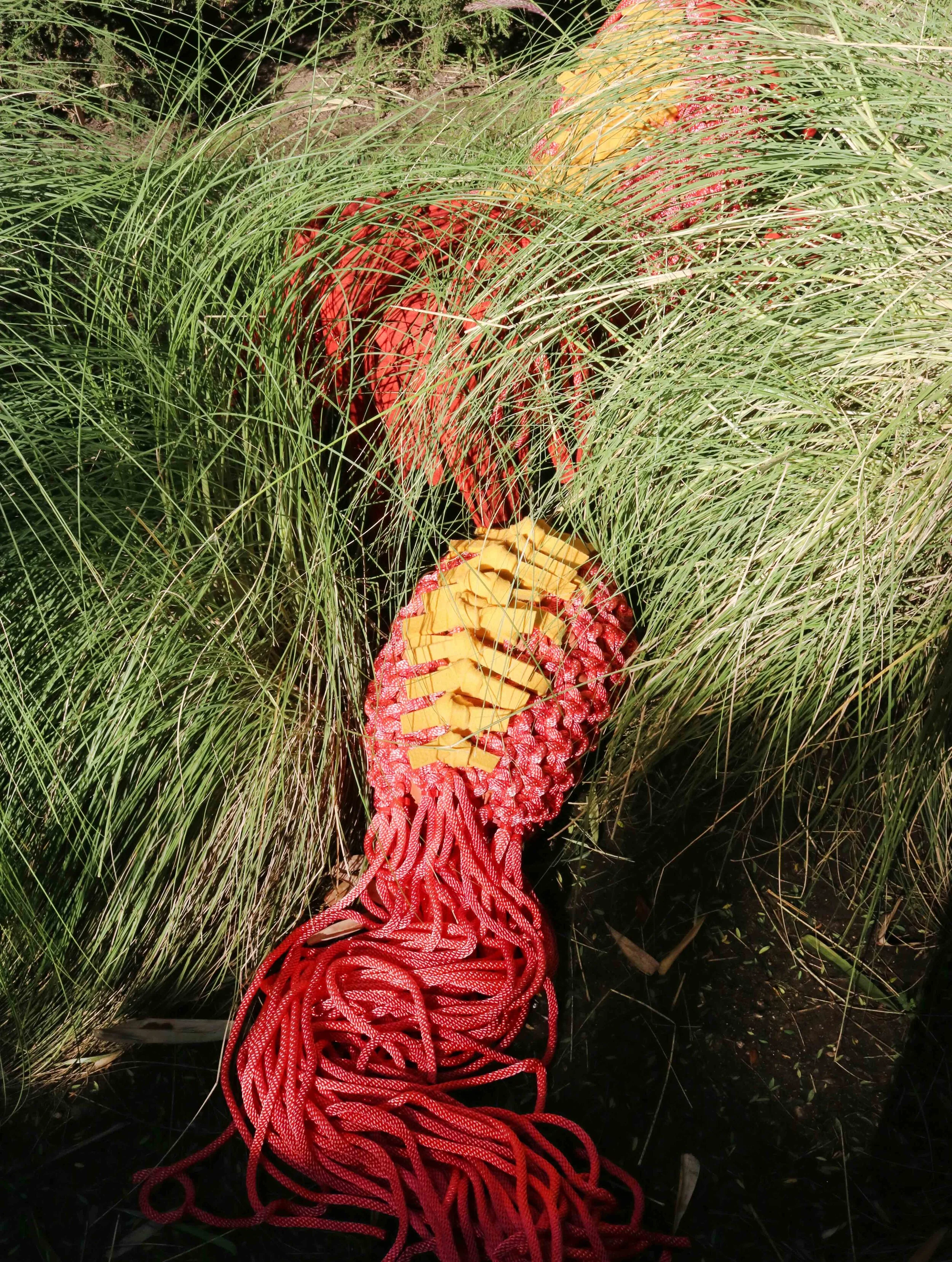 Felty_Grass_small_cropped.jpg