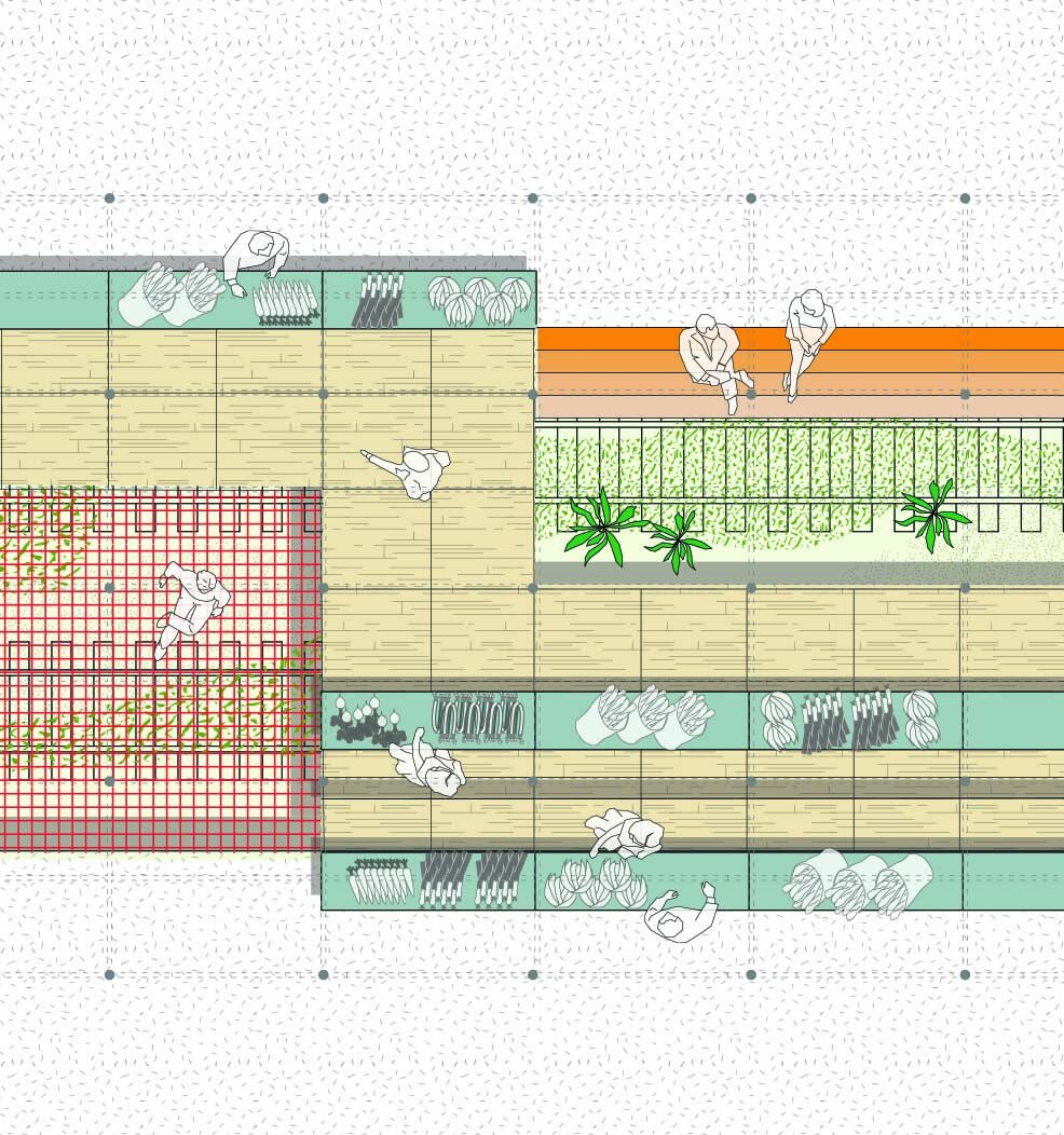SP_Siteplan CT - DETAIL_small.jpg