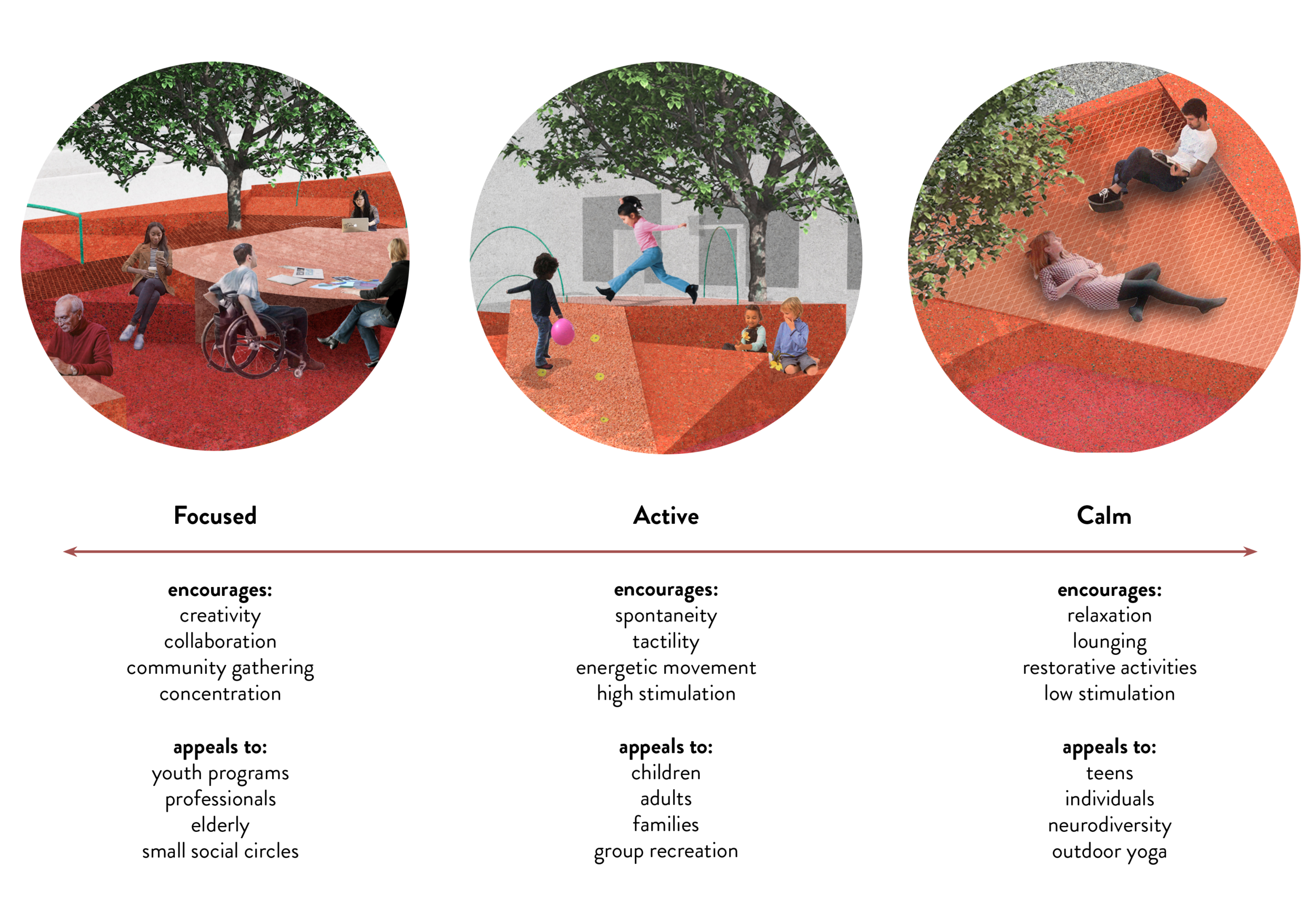 RG_activity spectrum.png