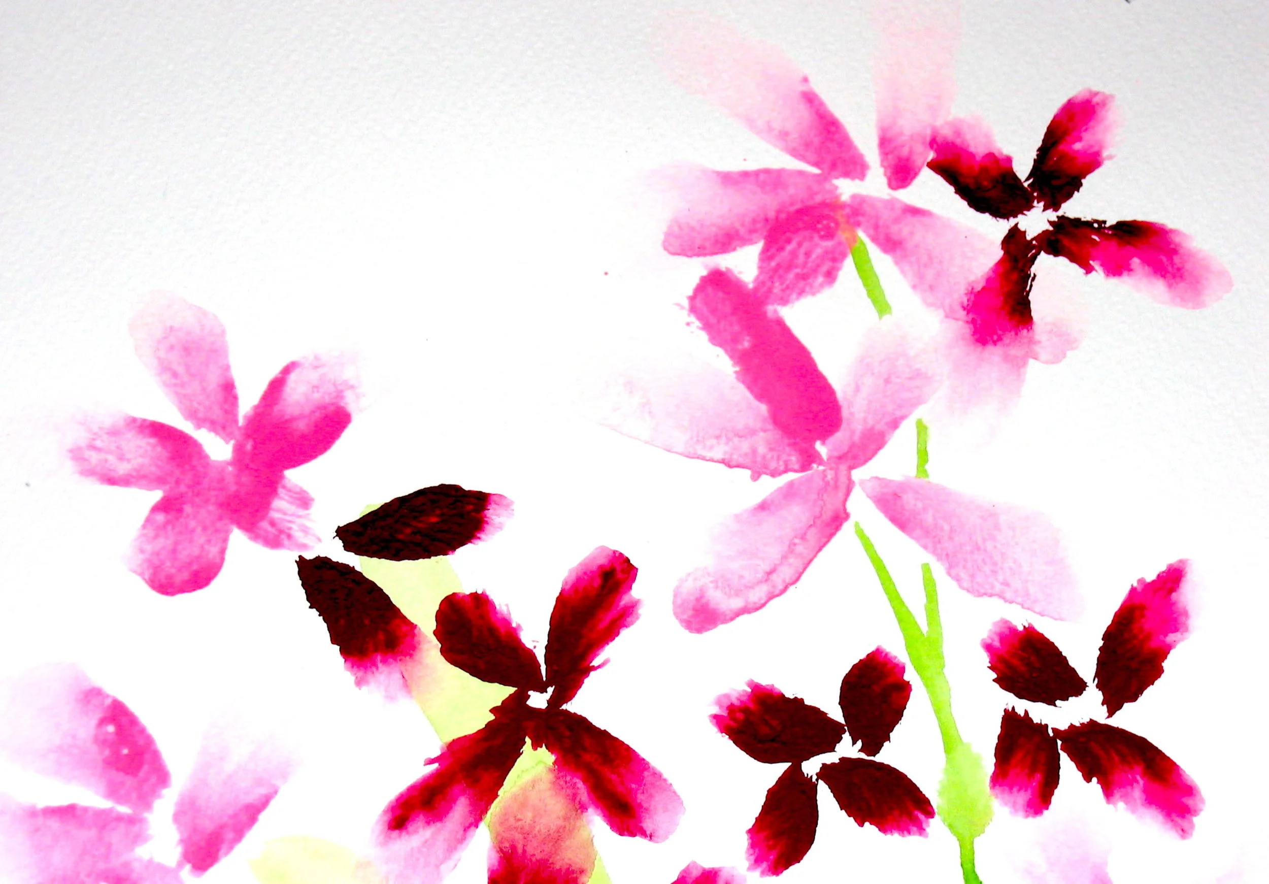 Mauve and Pink Flowers .JPG