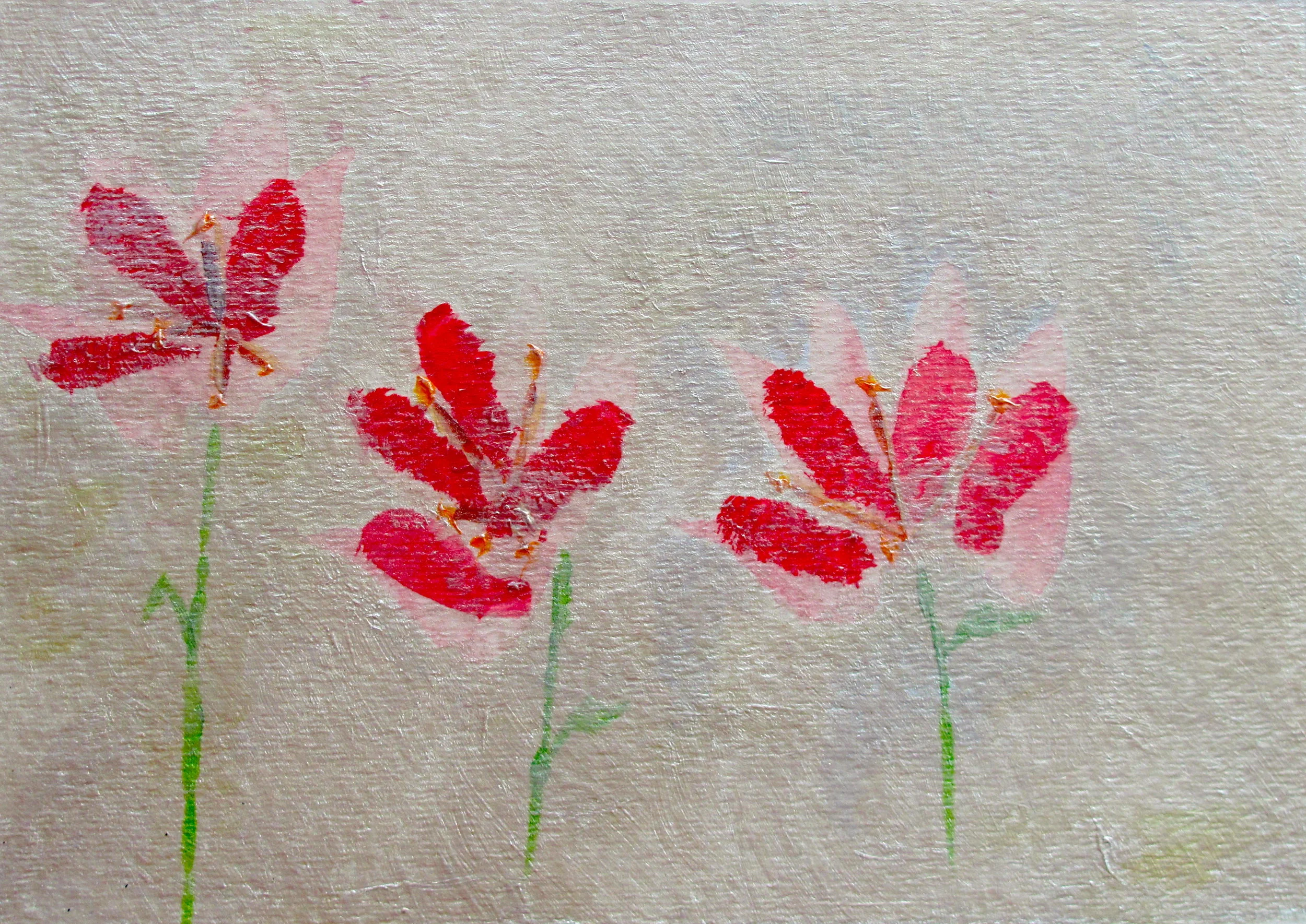 Pink and Red Petals Silver Sky.jpeg