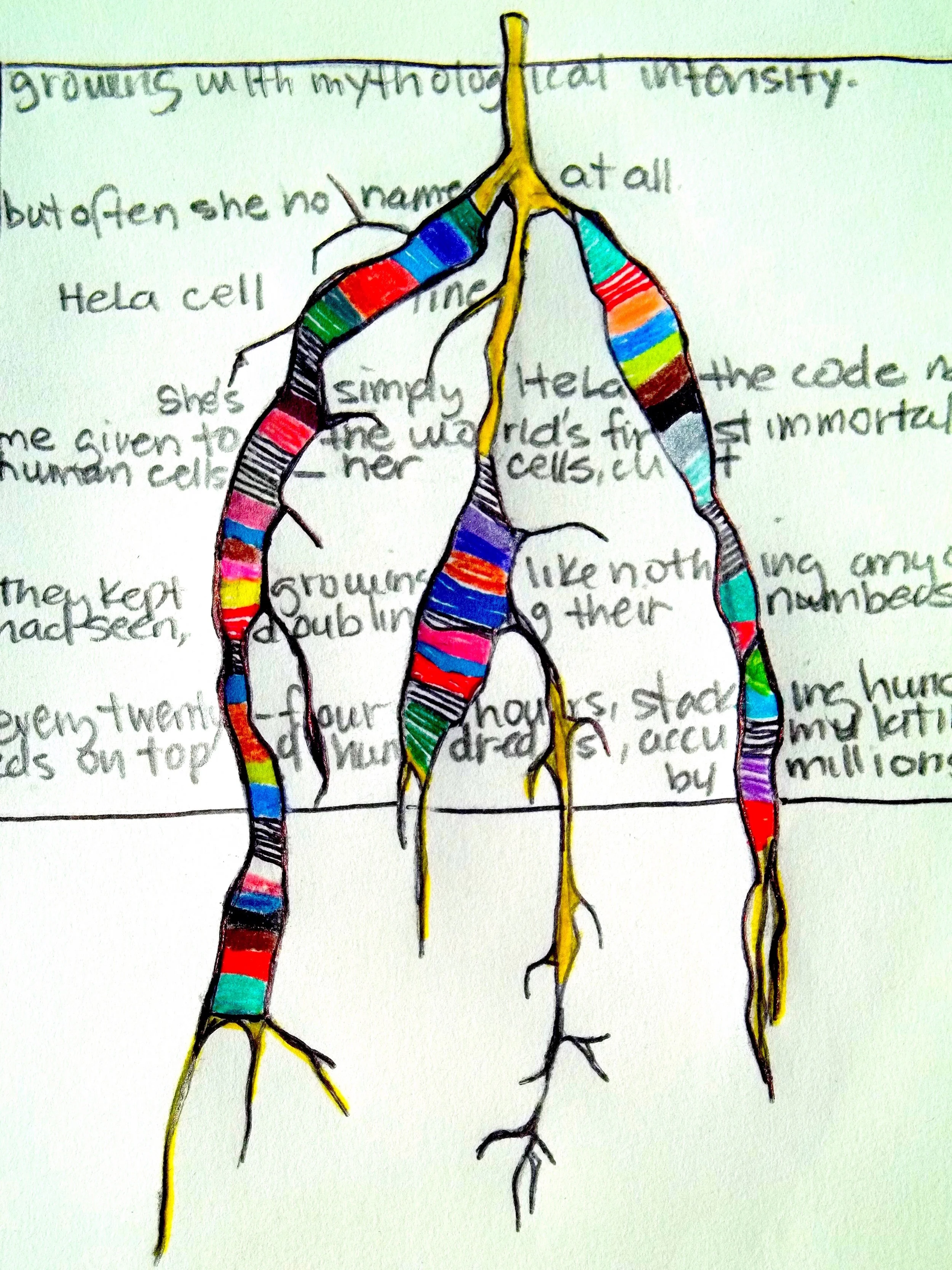 Renaming of the Immortal small copy.jpeg