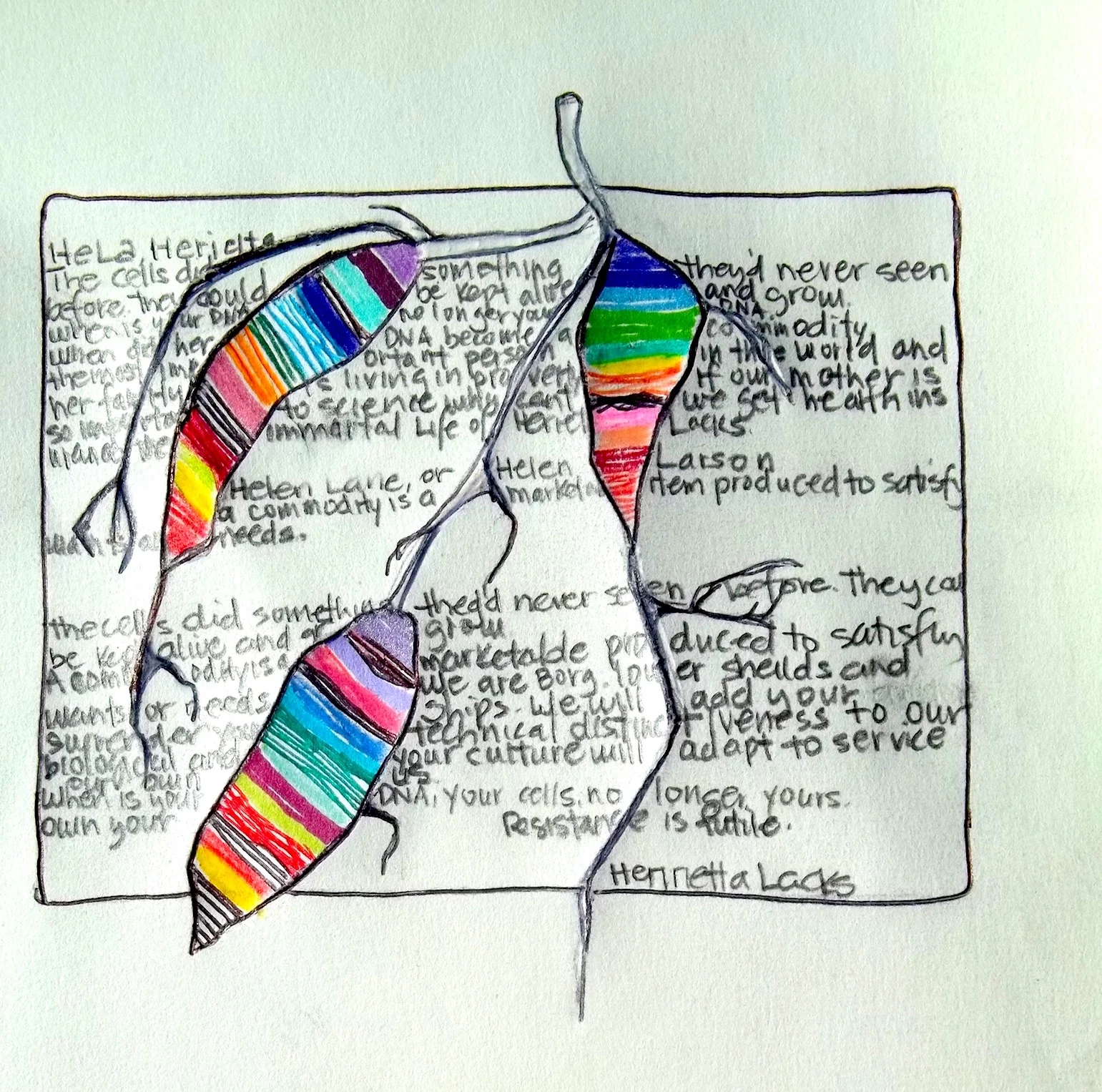 HeLa Install 369_0242 small.jpeg