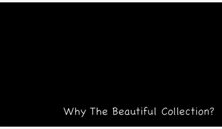 As I continued, to document, and make video recordings about my experiences, I realized that my observations and issues surrounding the manifestations of beauty in life were leading to a greater conversation.