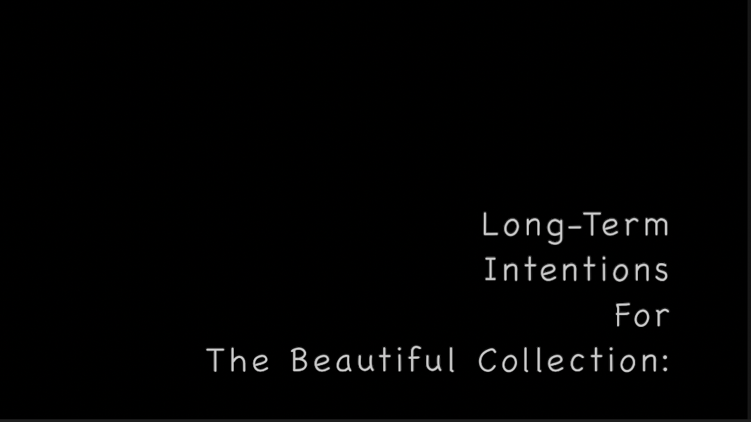 Although, presenting the Beautiful Collection as an art exhibition is definitely an important part of my personal goal as a visual artist. The long-term intention of formatting this collection of discussions, artistic videos, and photography to create a short film has greater implications regarding manifesting agency of black womanhood. The film would speak to the validity of black beauty, the importance of black mental health, and pricelessness of Black Womanhood. Hence, the exhibition, any purchases and or donations relating to this series will be used to hire an editor and be able to pay myself to review, edit, and compile several years of imagery to see this cinematic project to fruition.