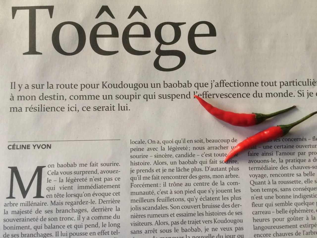 My various travels are an endless source of inspiration – I get mesmerised by the people I meet, the stories I hear, fragrances and smells. All this often ends up in short stories, written between two flights or when I get stranded in some secluded Posada… (Photo: My short story “Toêêge” published in the literary magazine La Couleur des Jours)