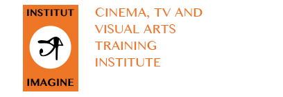 The Imagine InstituteThe Imagine Institute&nbsp;is a unique Cinema, TV and visual arts training institute located in Ouagadougou and serving the wider region. The Institute was part of the evaluated programme.