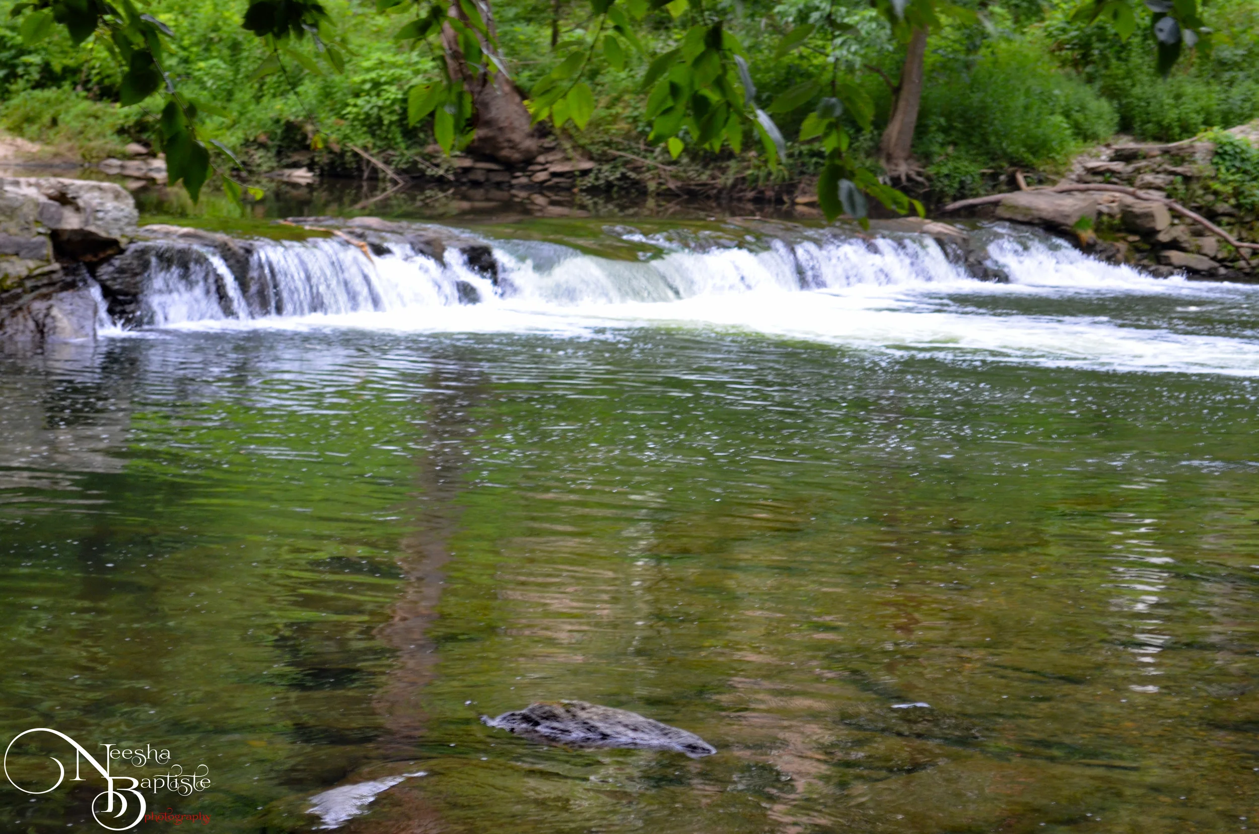 DSC_0223.jpg