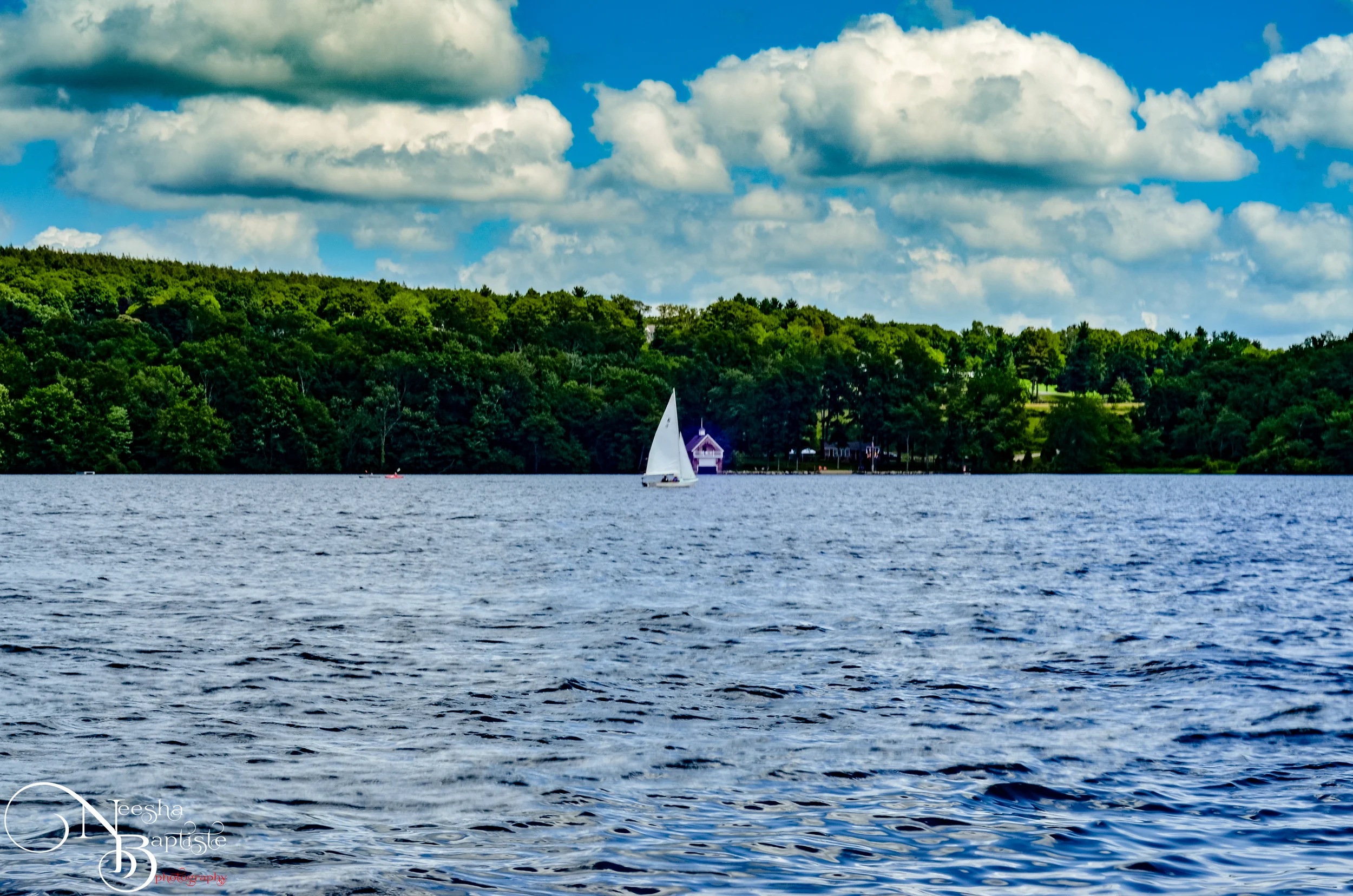 DSC_0272.jpg