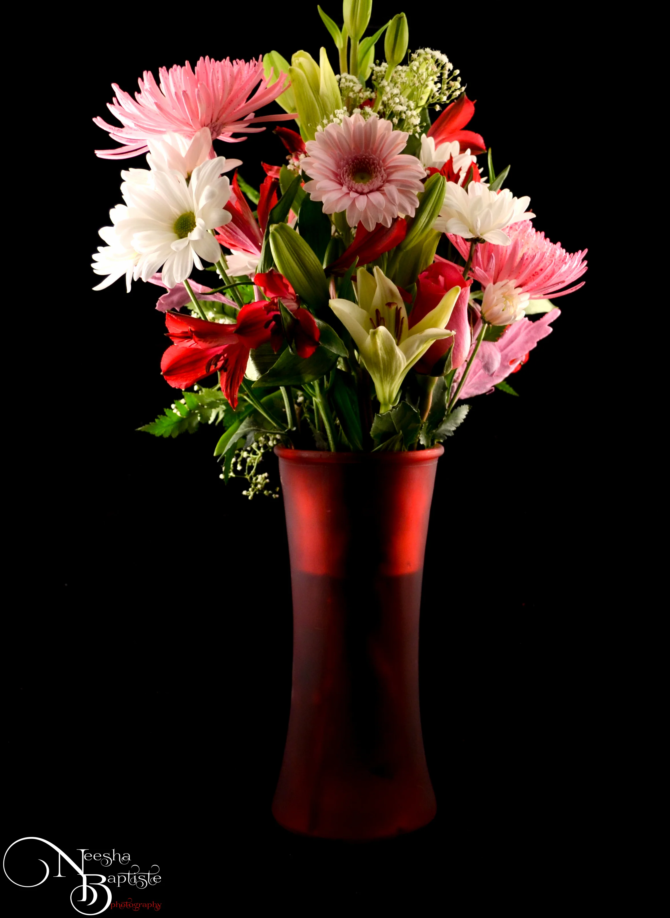 DSC_1653-Edit.jpg