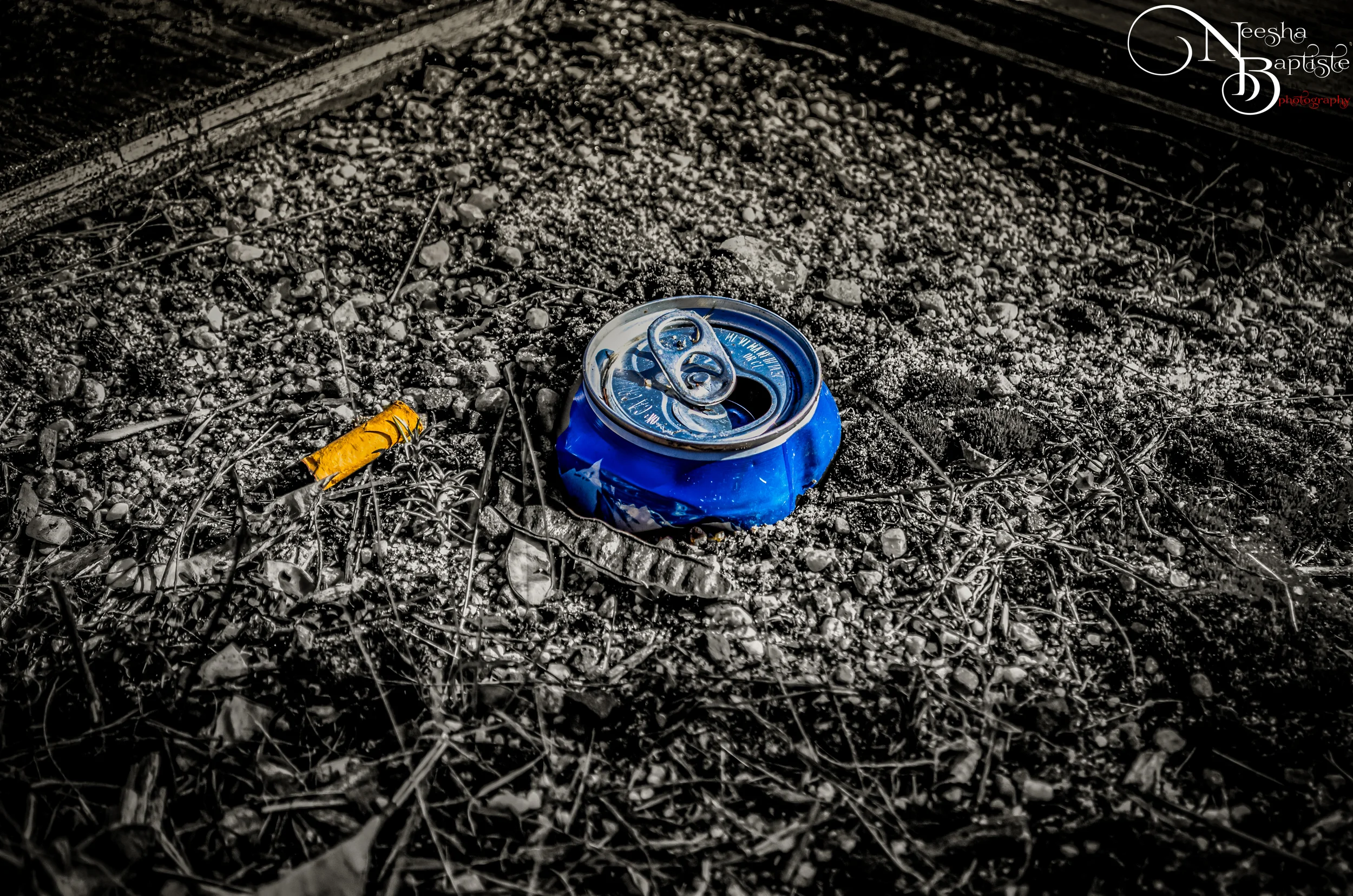 DSC_0638-Edit-2.jpg