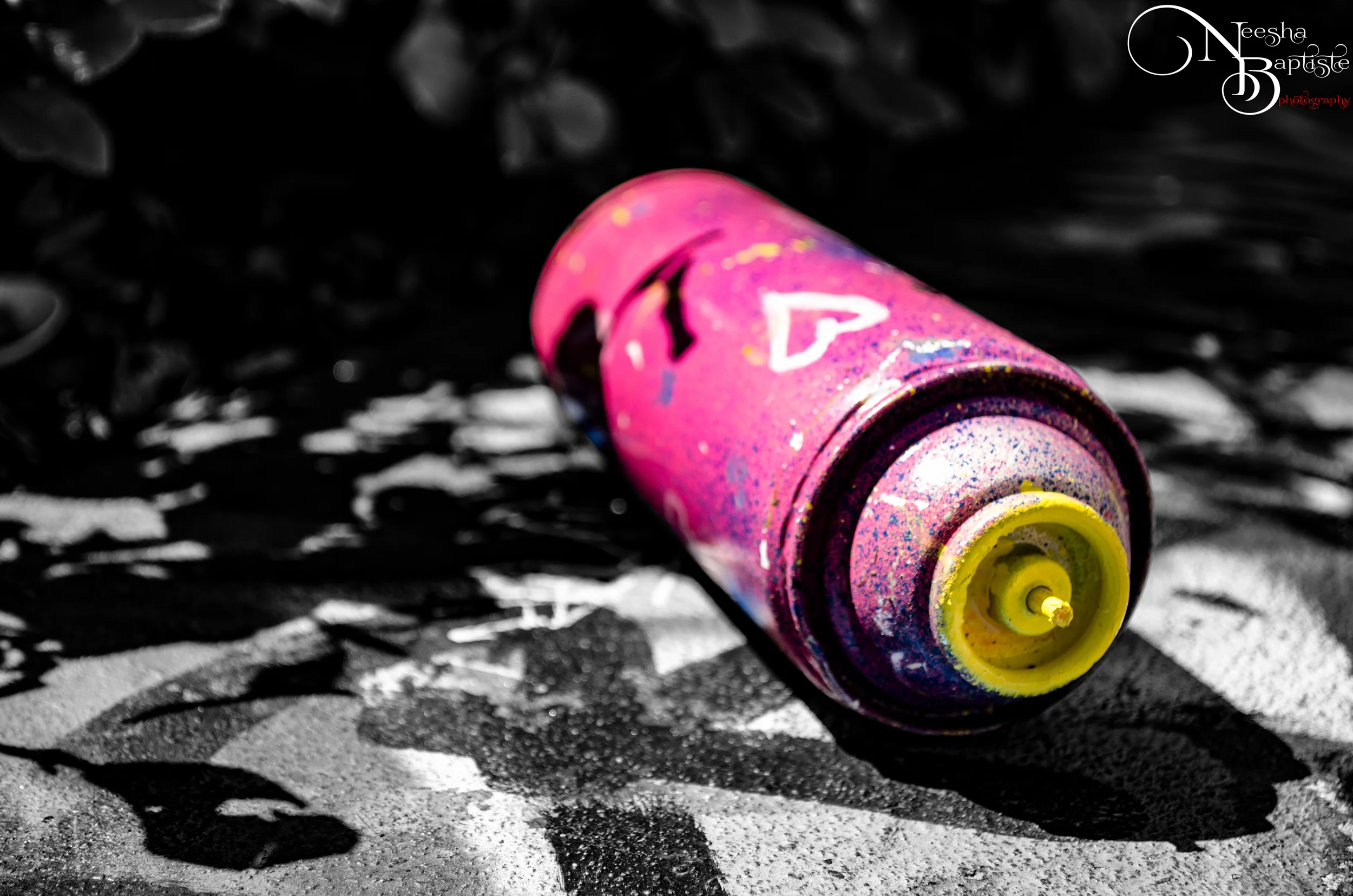 DSC_1075-Edit.jpg