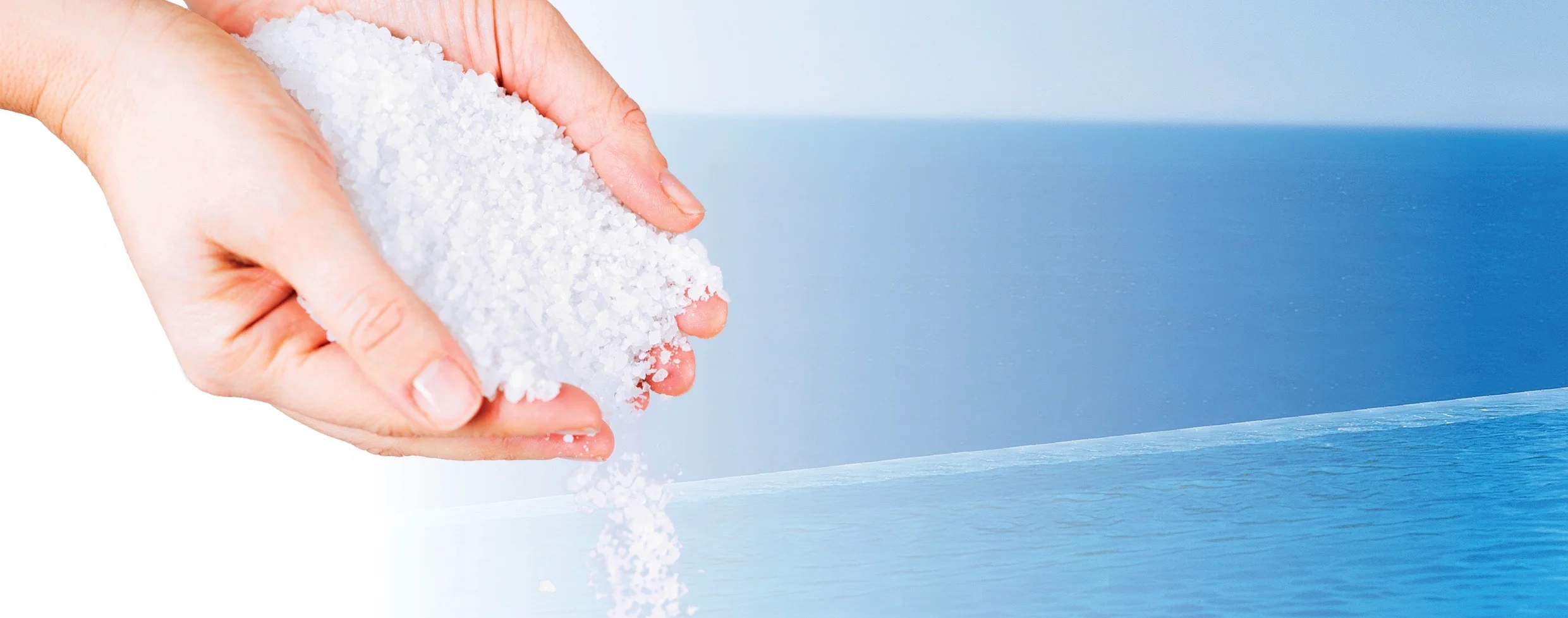 Minerals in Hands.jpg