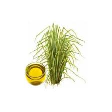 Vetiver.jpg