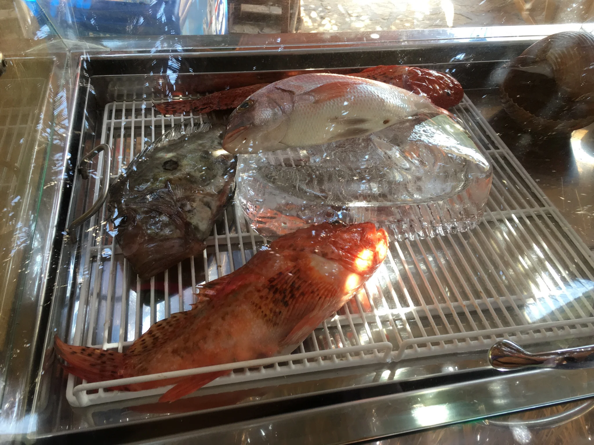 Choosing our fish