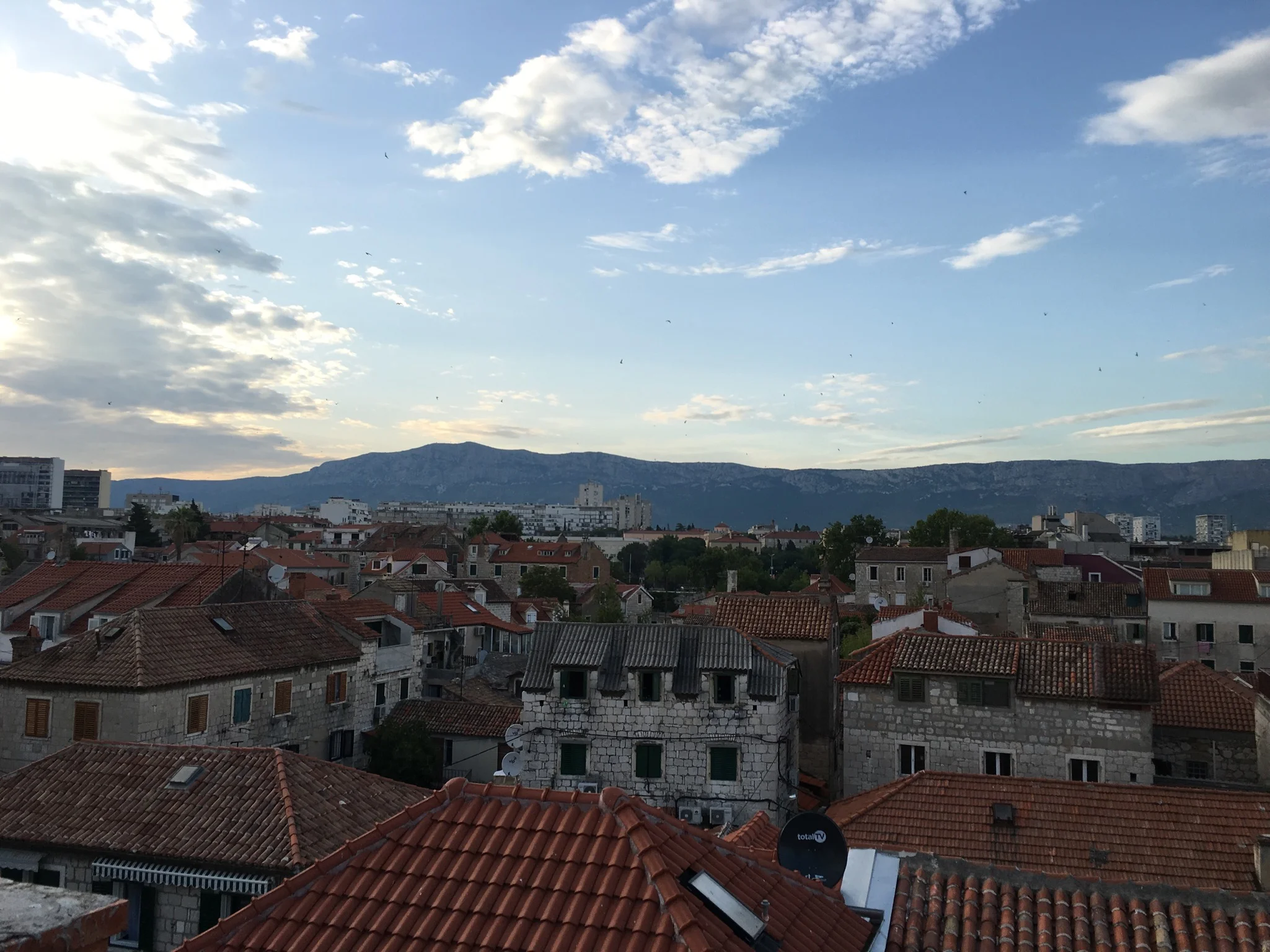 View from our roof