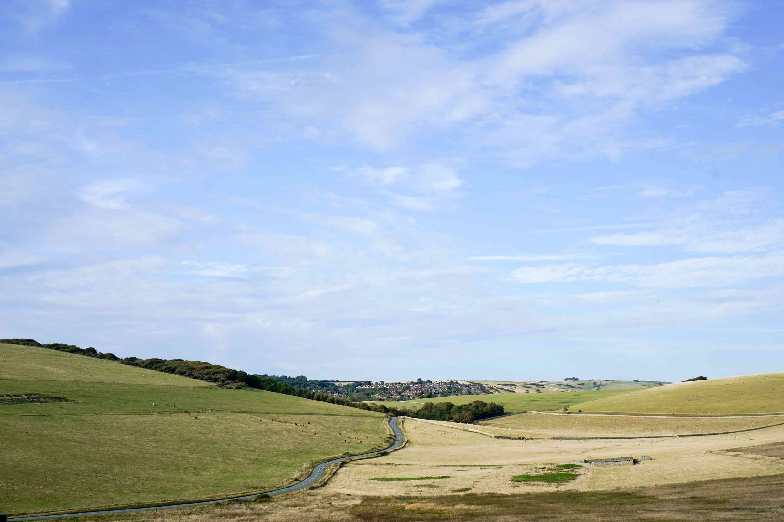 Beachy Head Rd.
