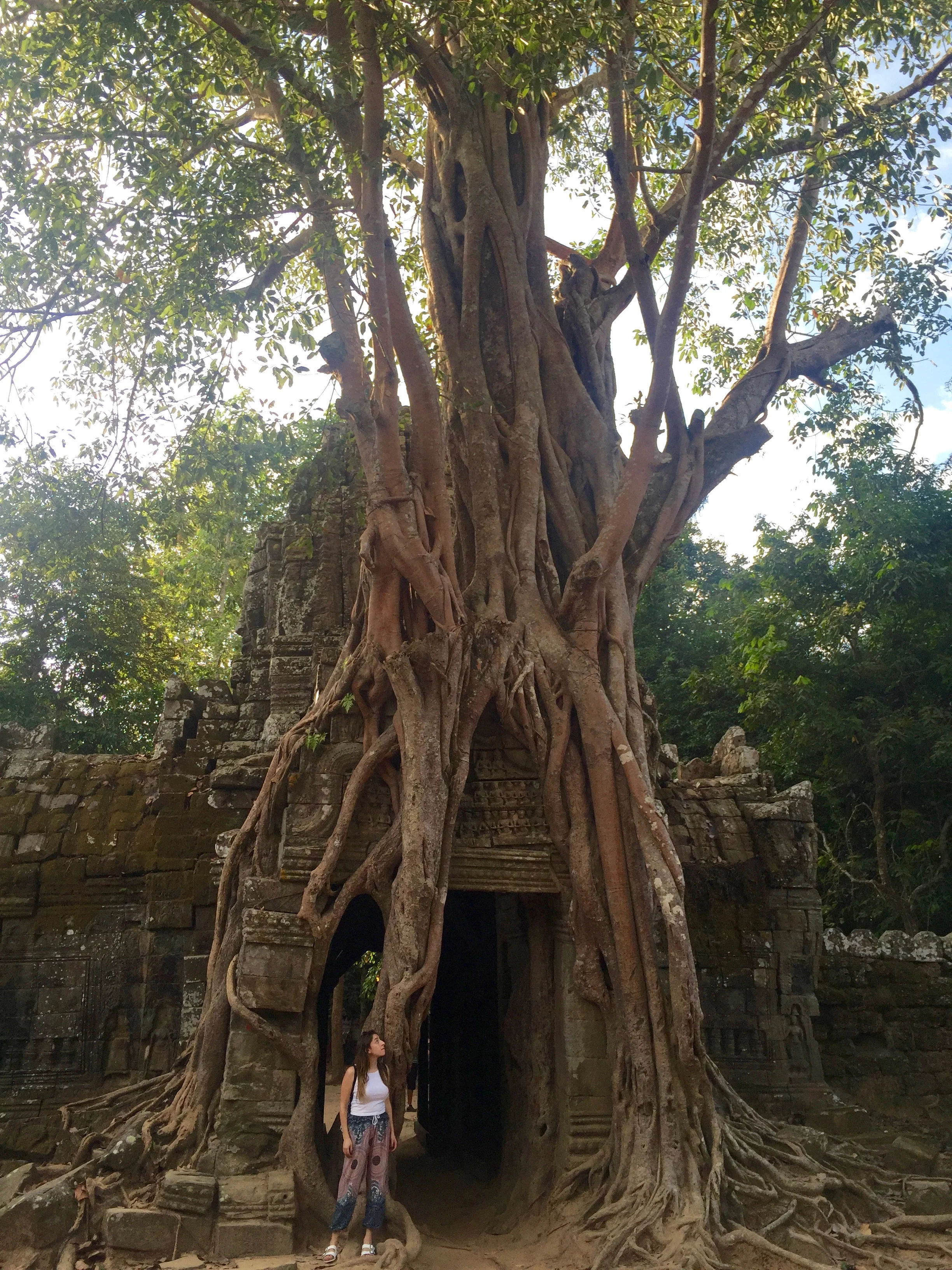 I was completely mesmerized by this tree that climbed up the back side of Ta Som Temple.