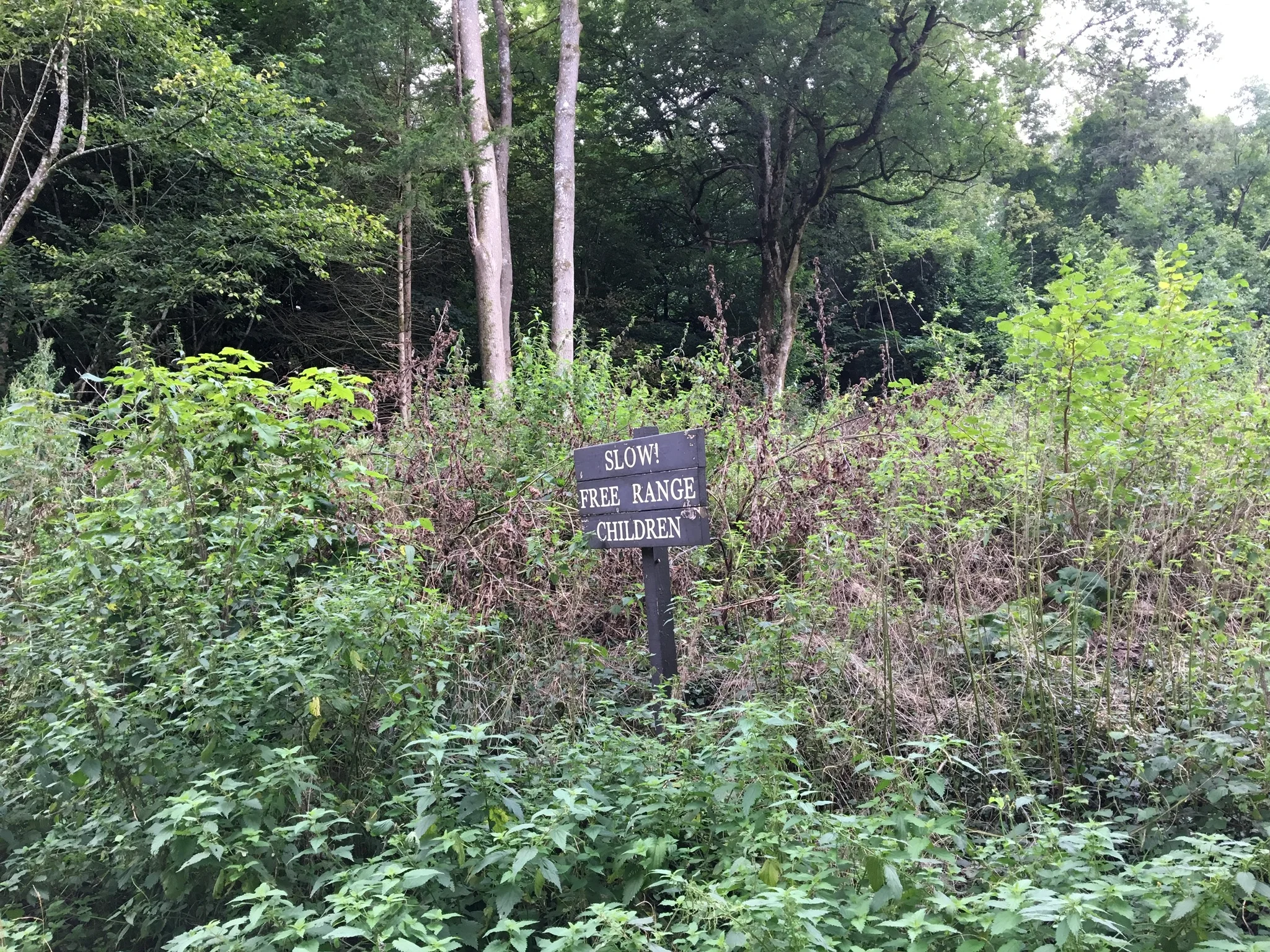 This sign cracked me up