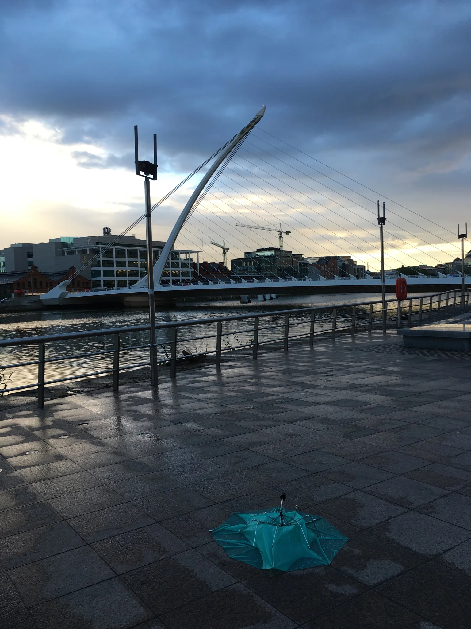 Casualty of the wind
