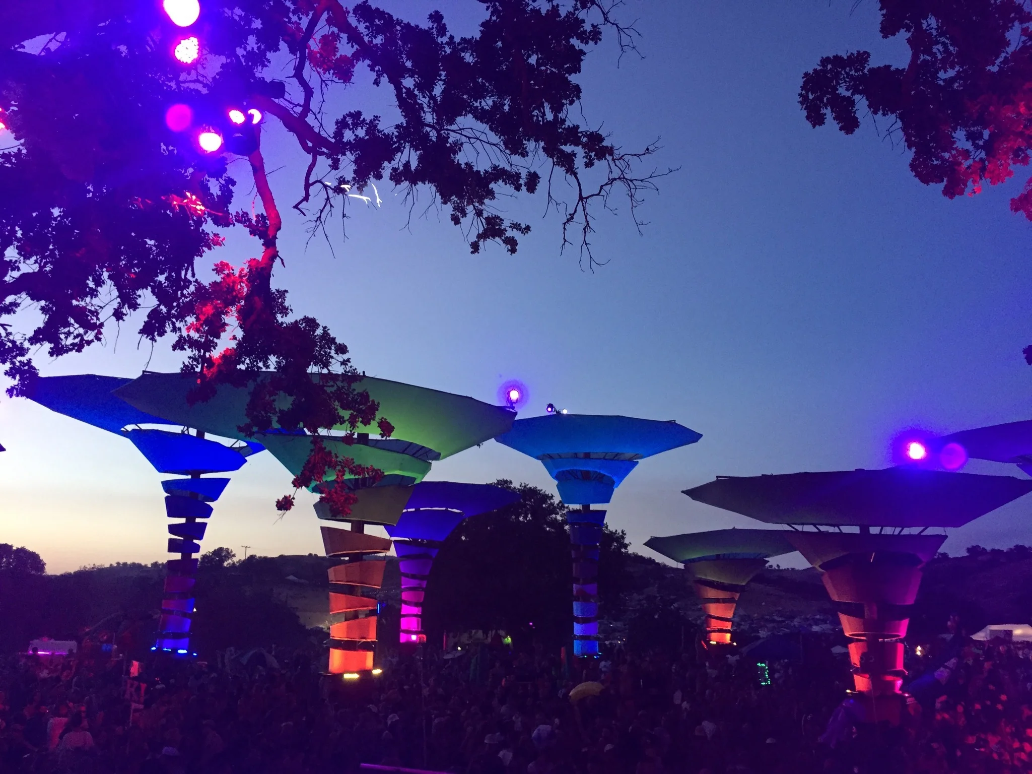 Views from Lightning in a Bottle's Woogie stage. I took this picture from backstage at the Lee Burridge show. (May, 2016)