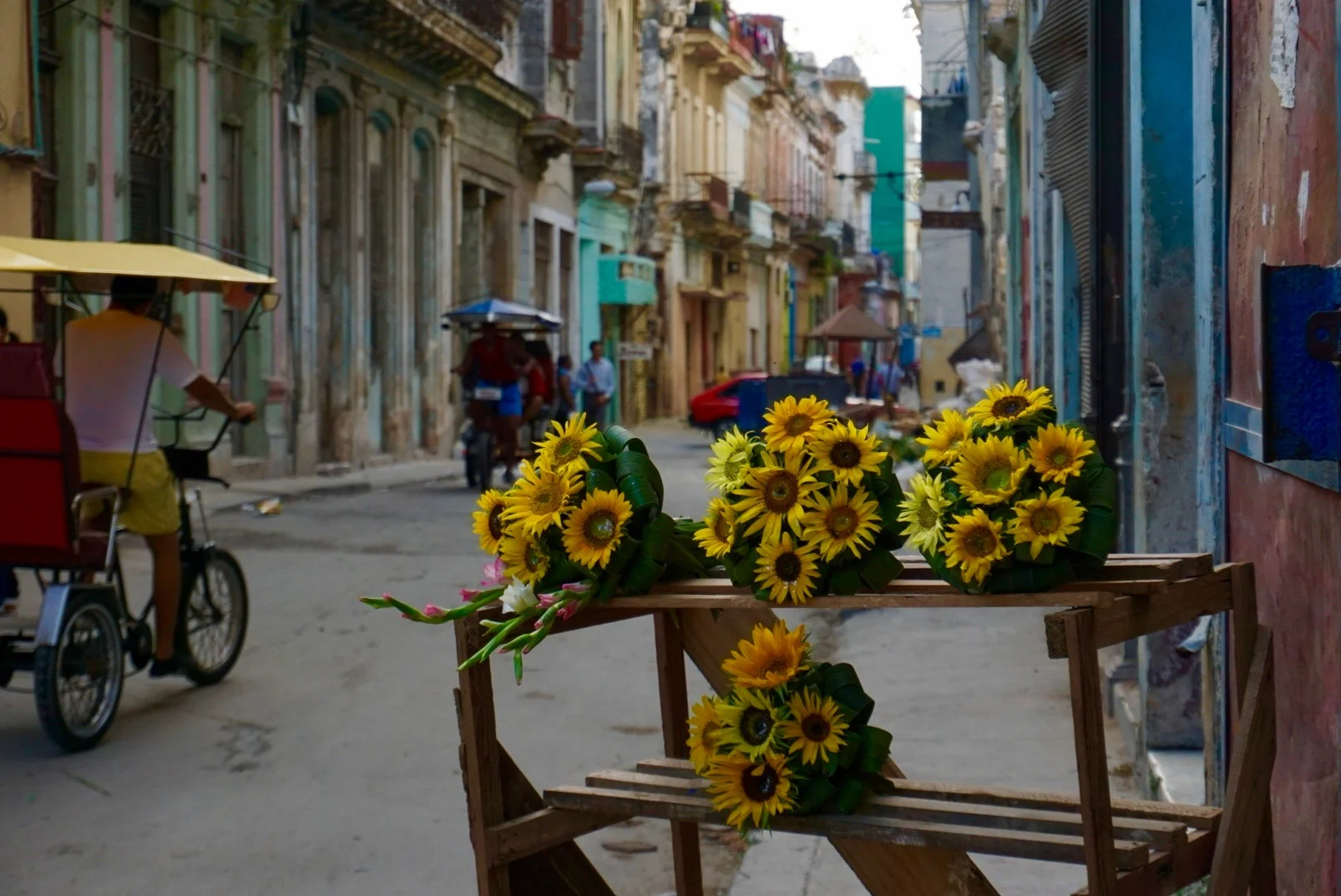 We came across a sunflower stand while roaming the streets.