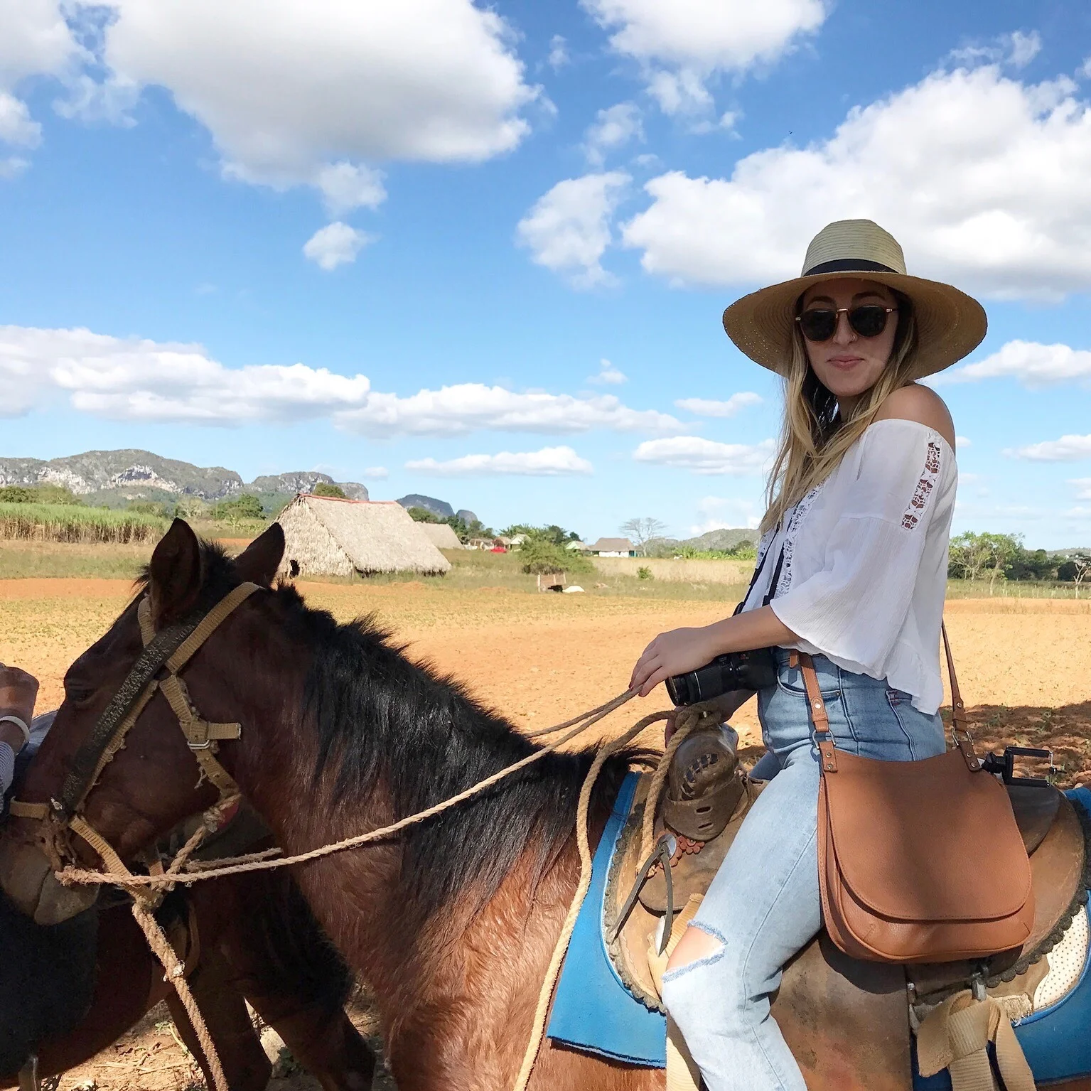 This is Mojito the horse. 