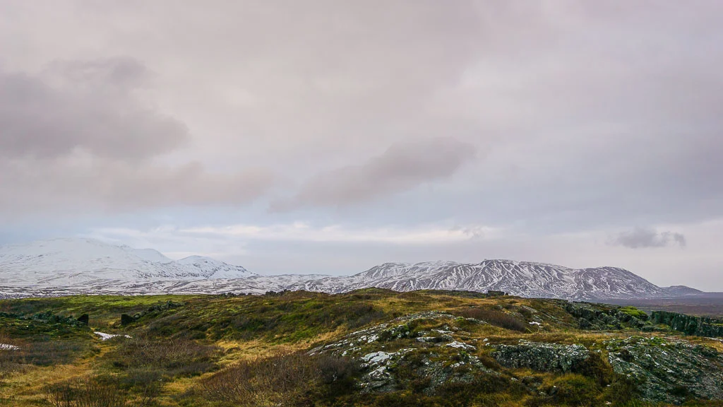 Doesn't this picture look like a painting? You can't make this up!
