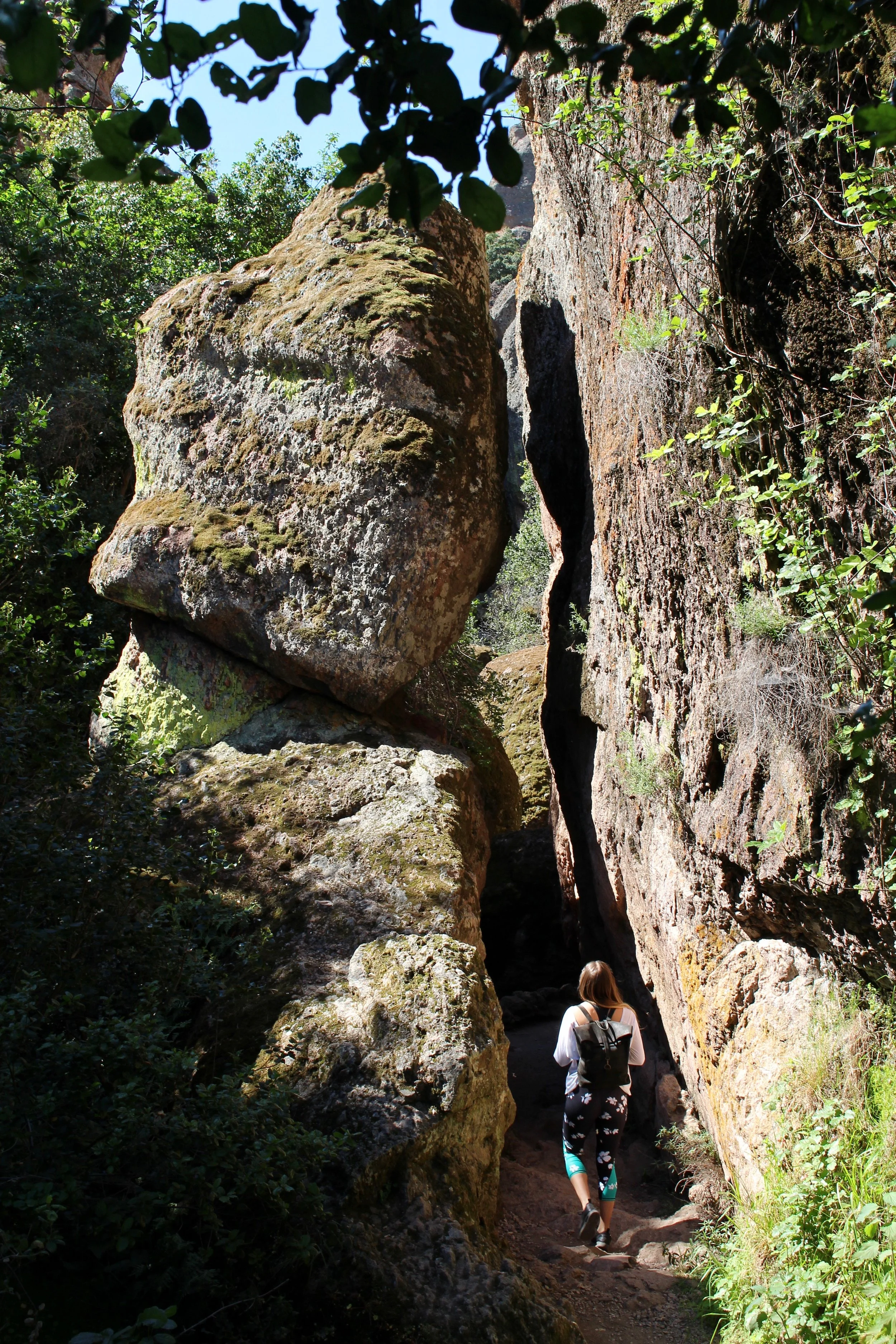 These rock formations were formed from erupted volcanos over 20 million years ago. 