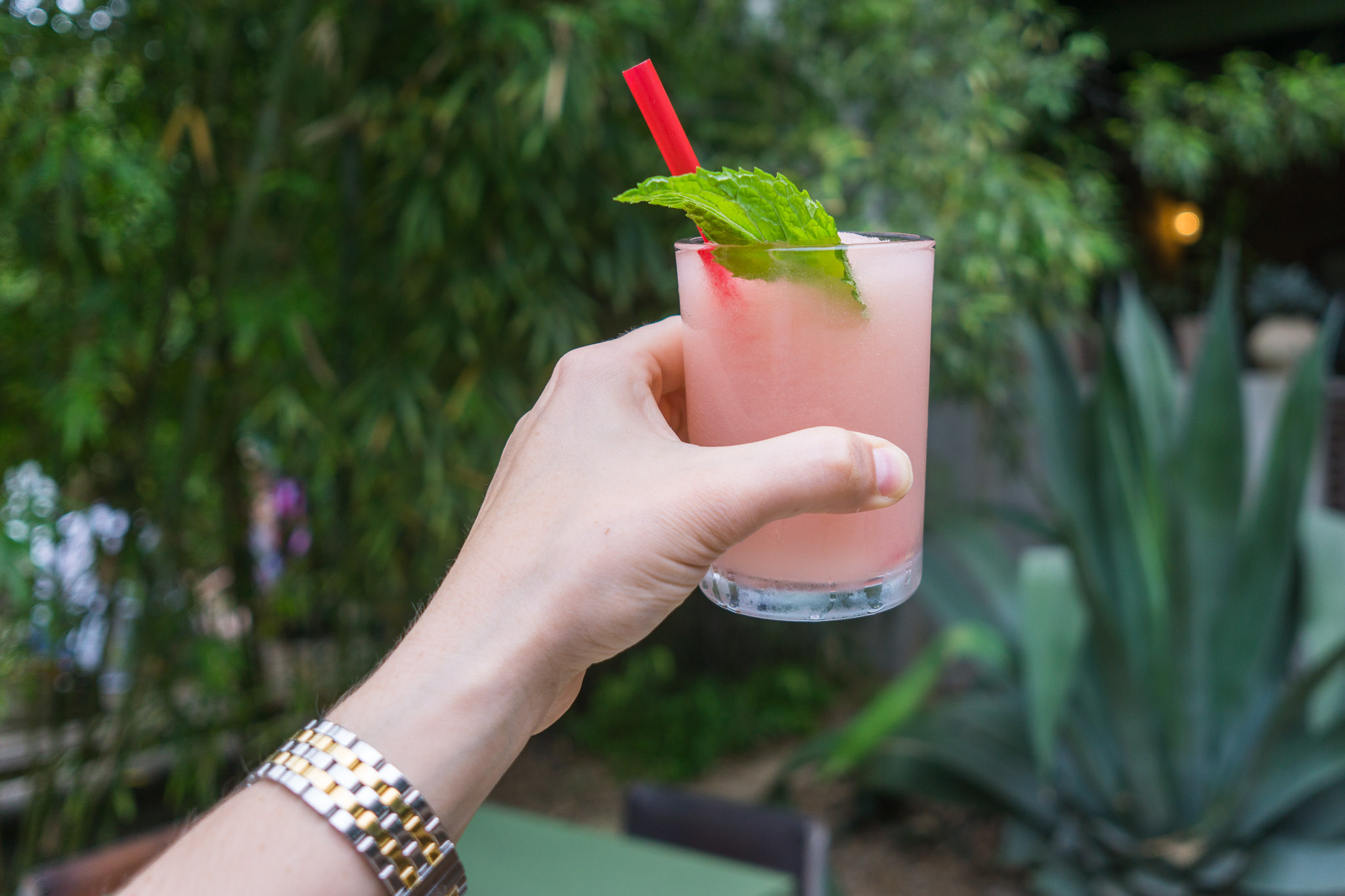 The frosé at Hotel San José.