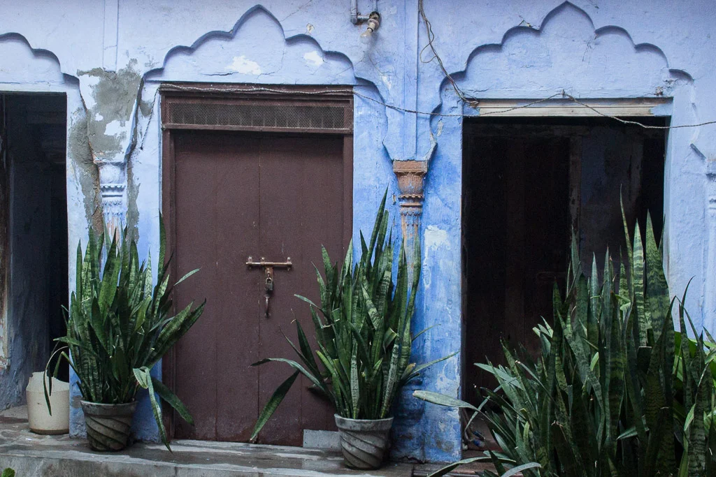 The prettiest blue doorway in Delhi.
